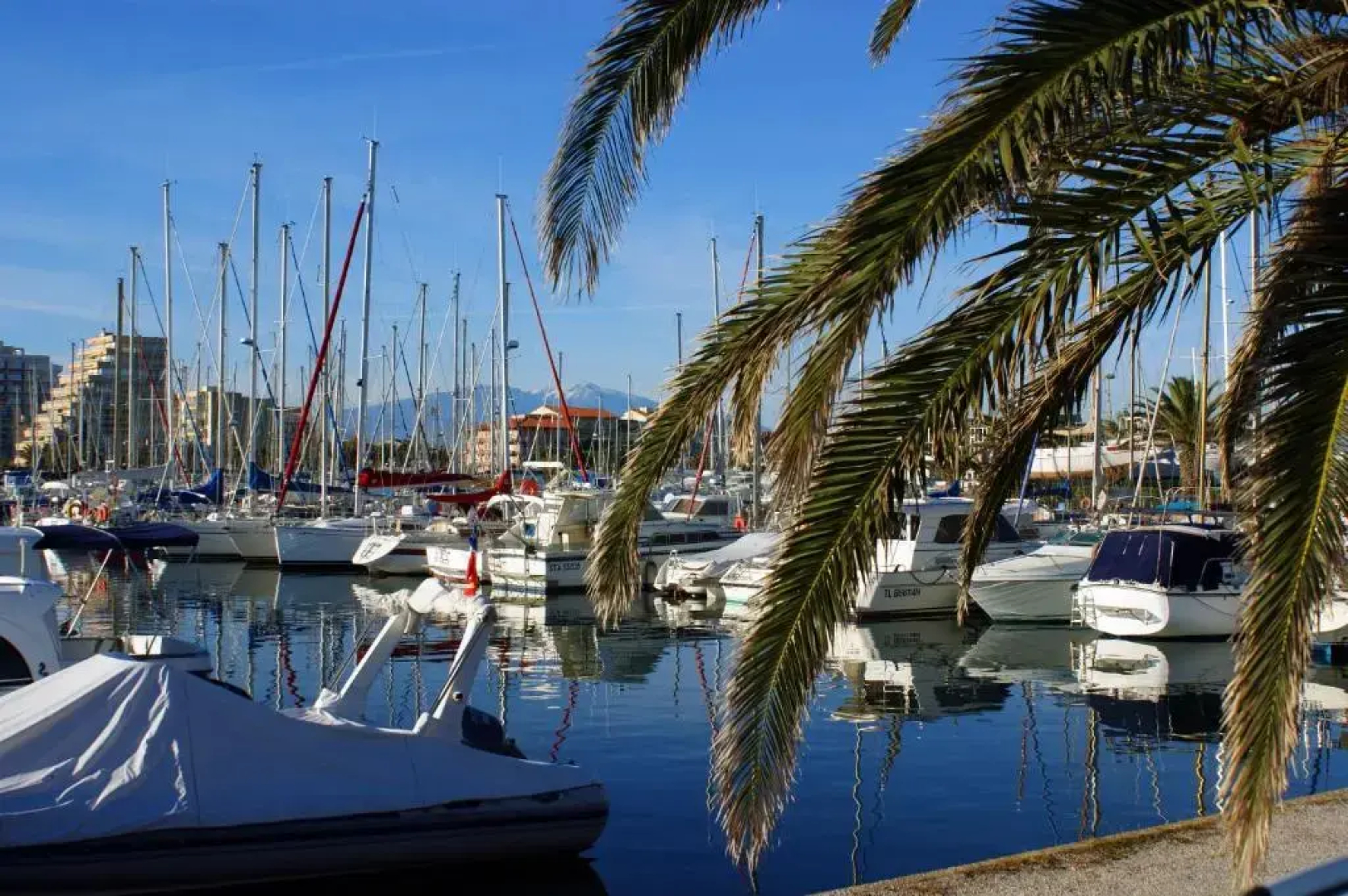 Hotel du Port