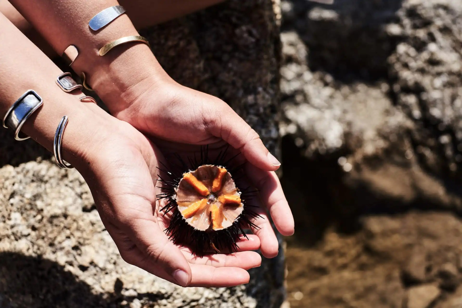 Villa Santa Katerina - Sea View
