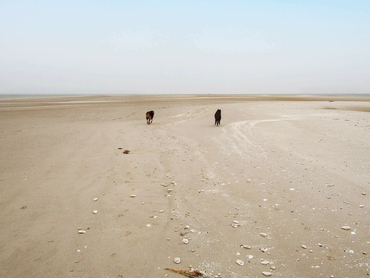 Swanky Holiday Home in Hadsund With Sauna