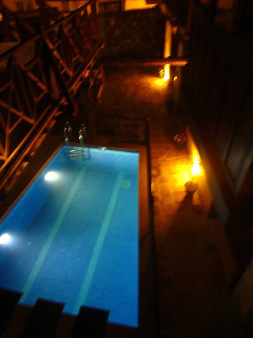 Amazon Petite Palace