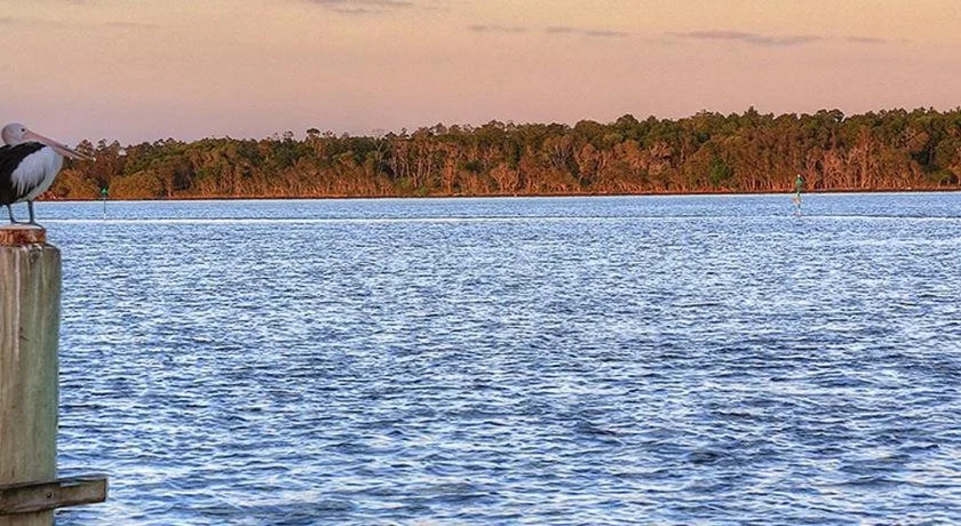 Anchorage Holiday Park - Iluka