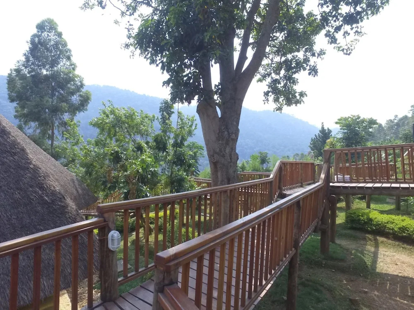 Trackers Safari Lodge Bwindi