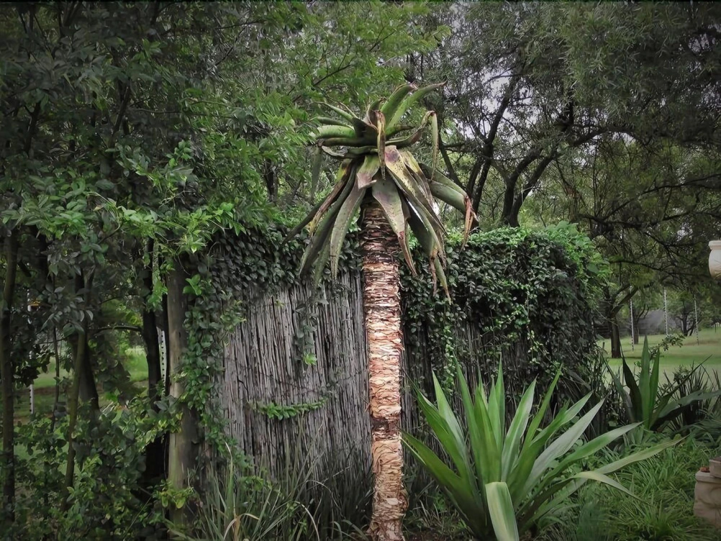 Manor House Bed and Breakfast