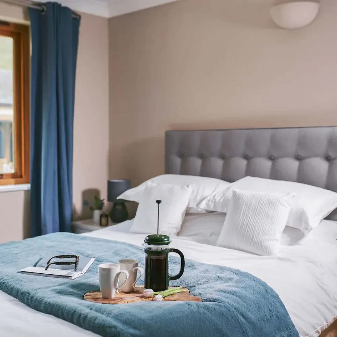 Swifts Return in Lower Ashton