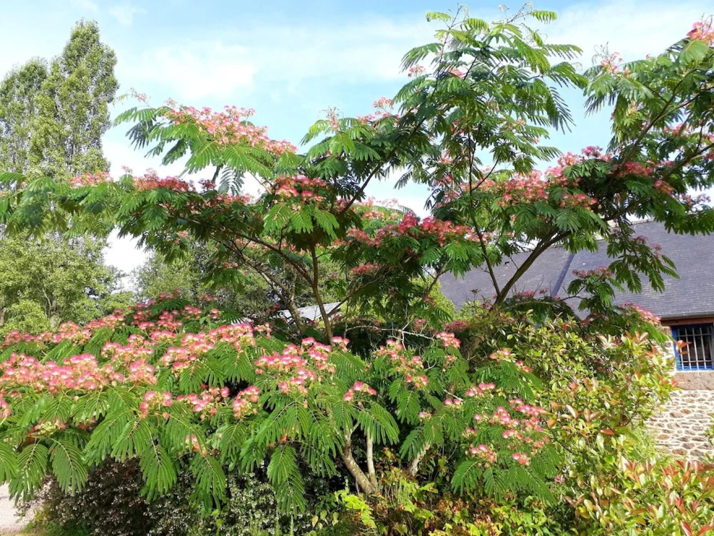 Mansion With 2 Bedrooms in Miniac-morvan, With Wifi - 7 km From the Be