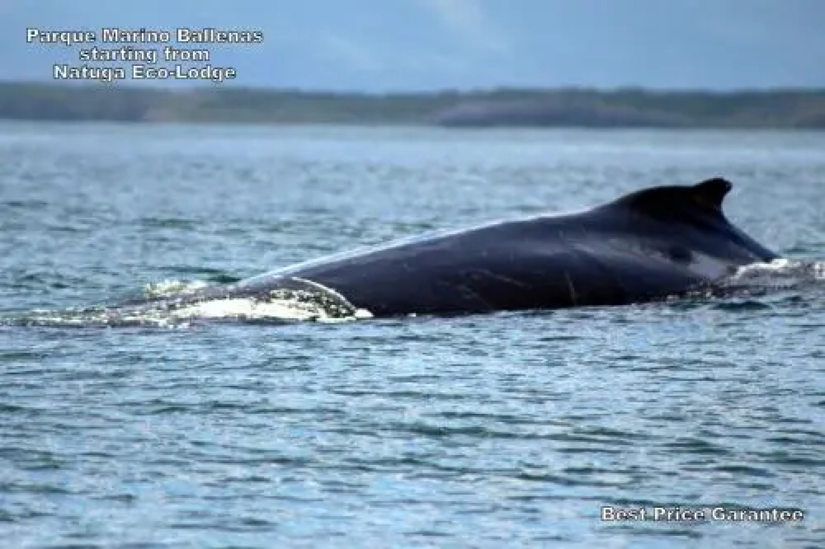 Natuga EcoLodge-Villas Dominical Baru