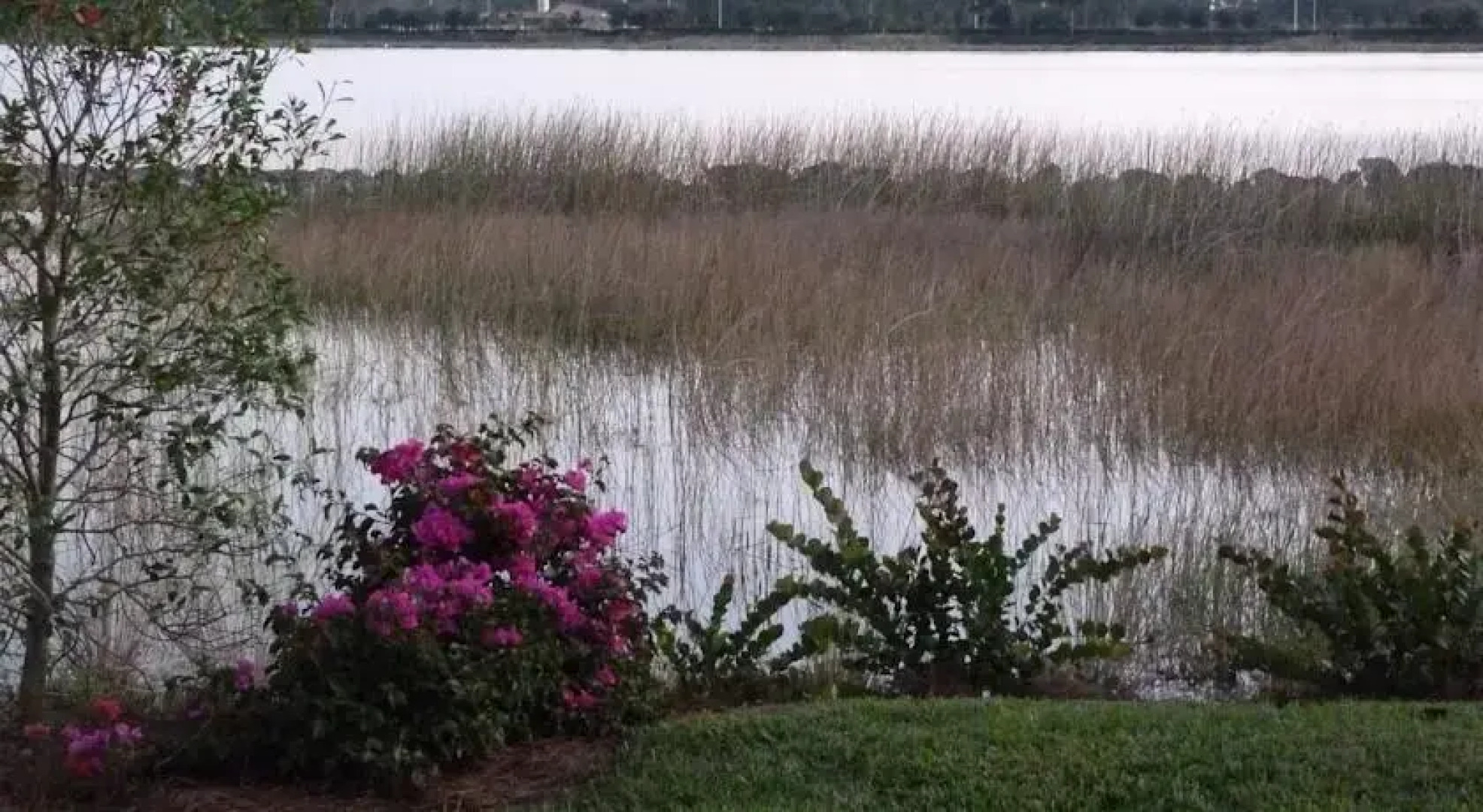 Heritage Bay Naples by Caroline