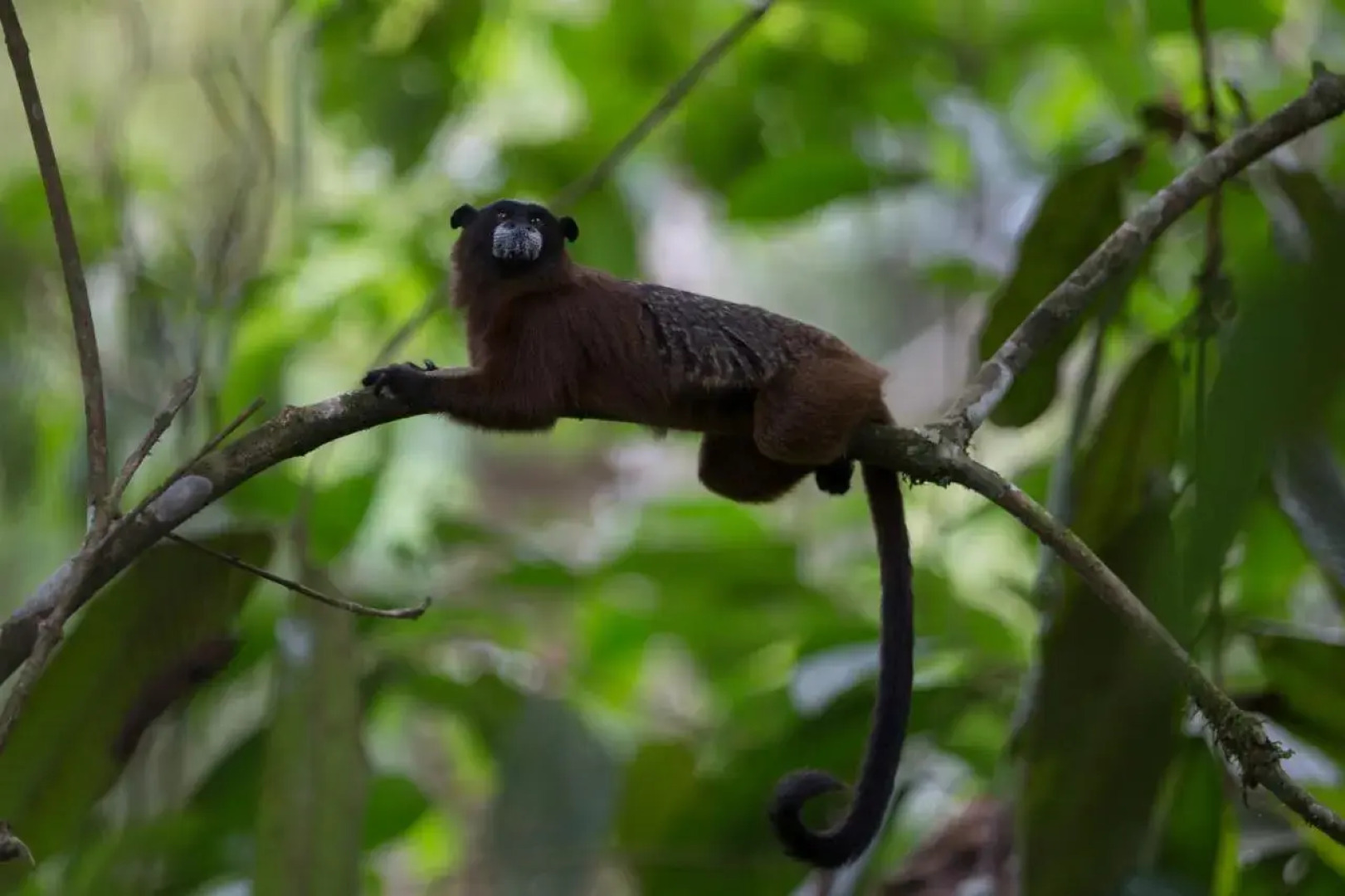 Posada Etnoturistica Achalay