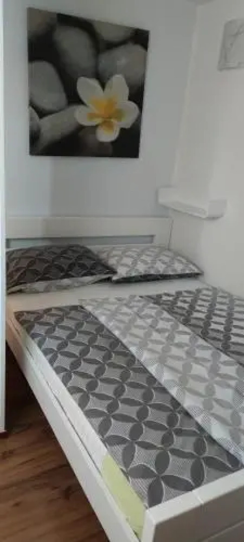 Apartments Plavčić