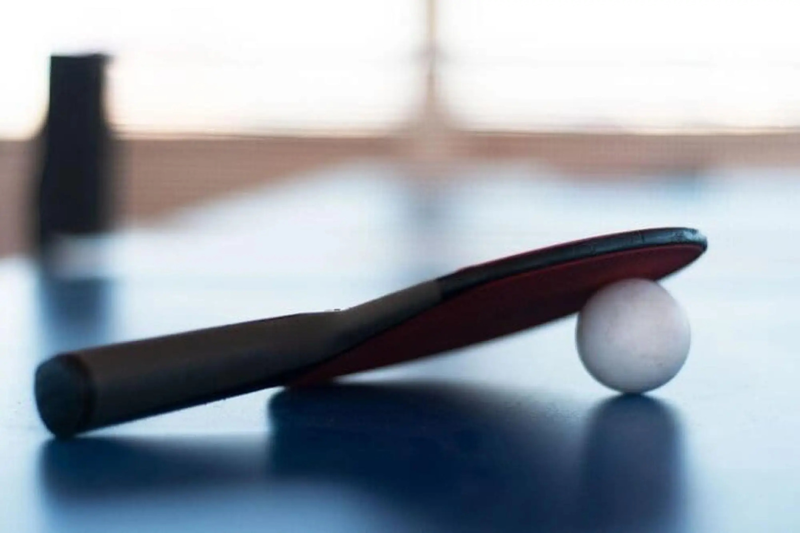 Comfortable Premium Class Apartment, Shared Swimming Pool, Gaski