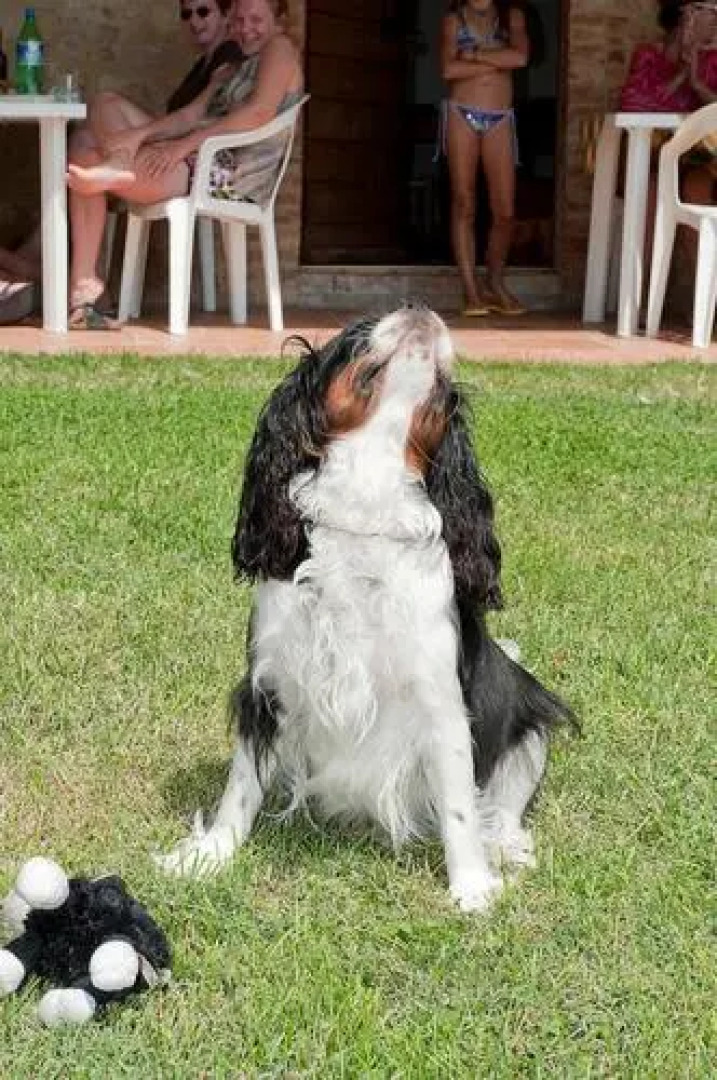 Agriturismo San Carlo