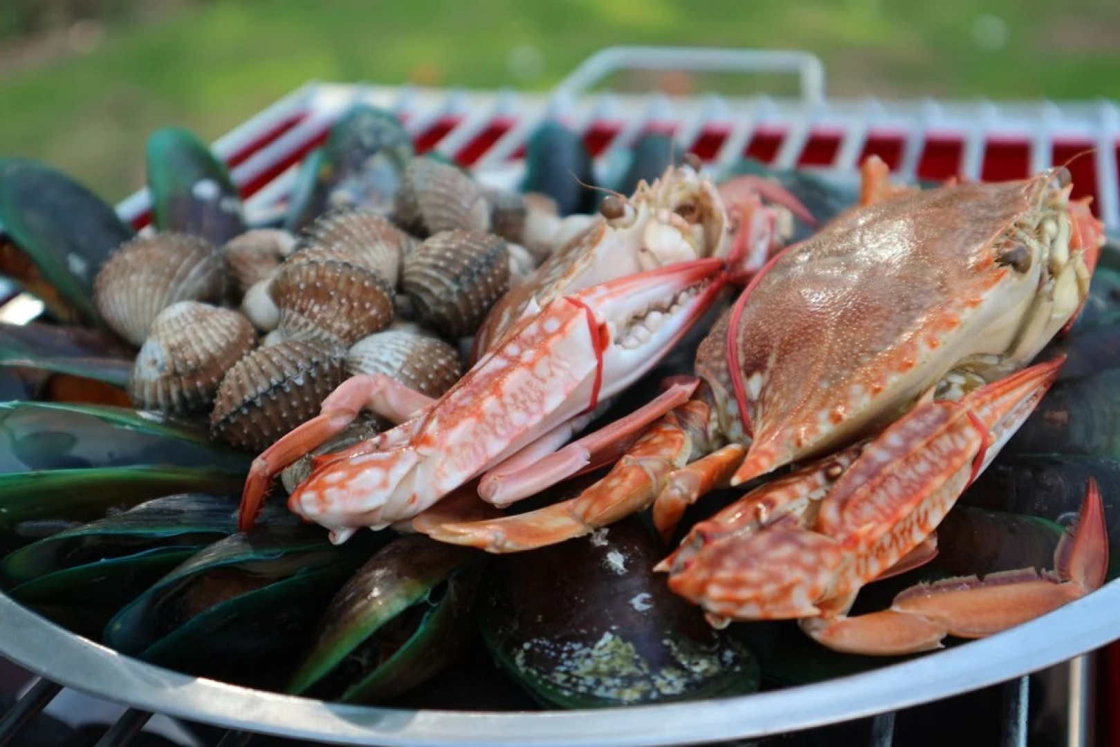 The Rubber Tree Resort