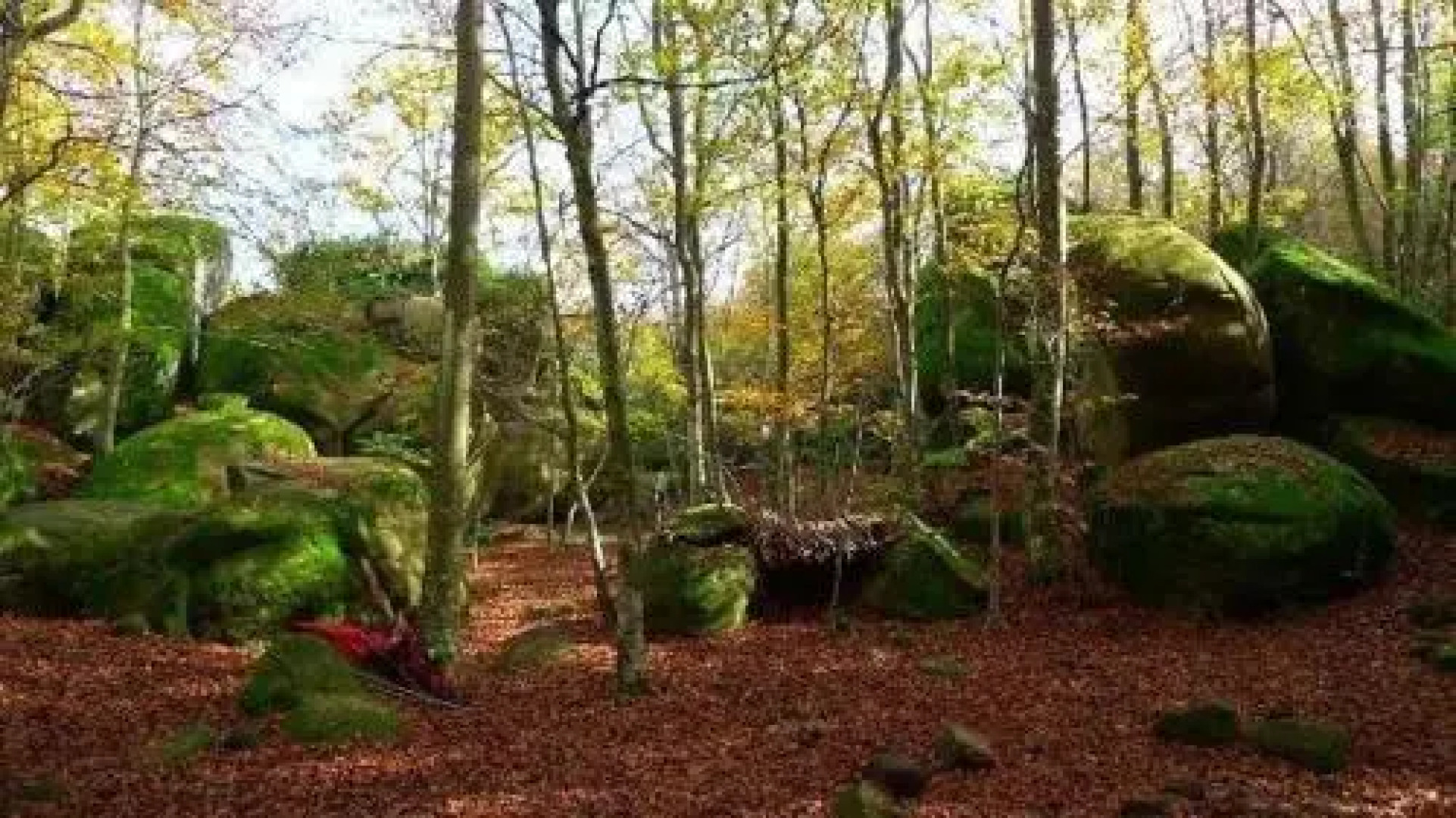 Santuari de la Salut de Sant Feliu de Pallerols