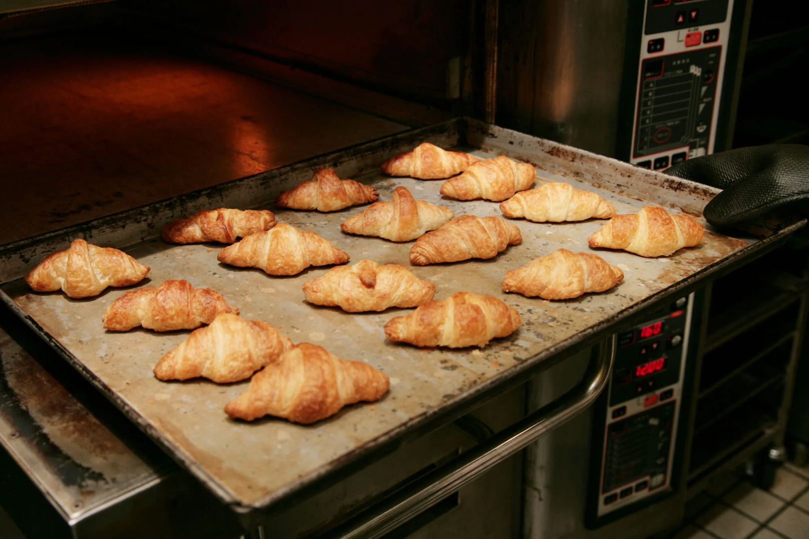 Chateraise Gateaux Kingdom Sapporo Hotel and Spa Resort