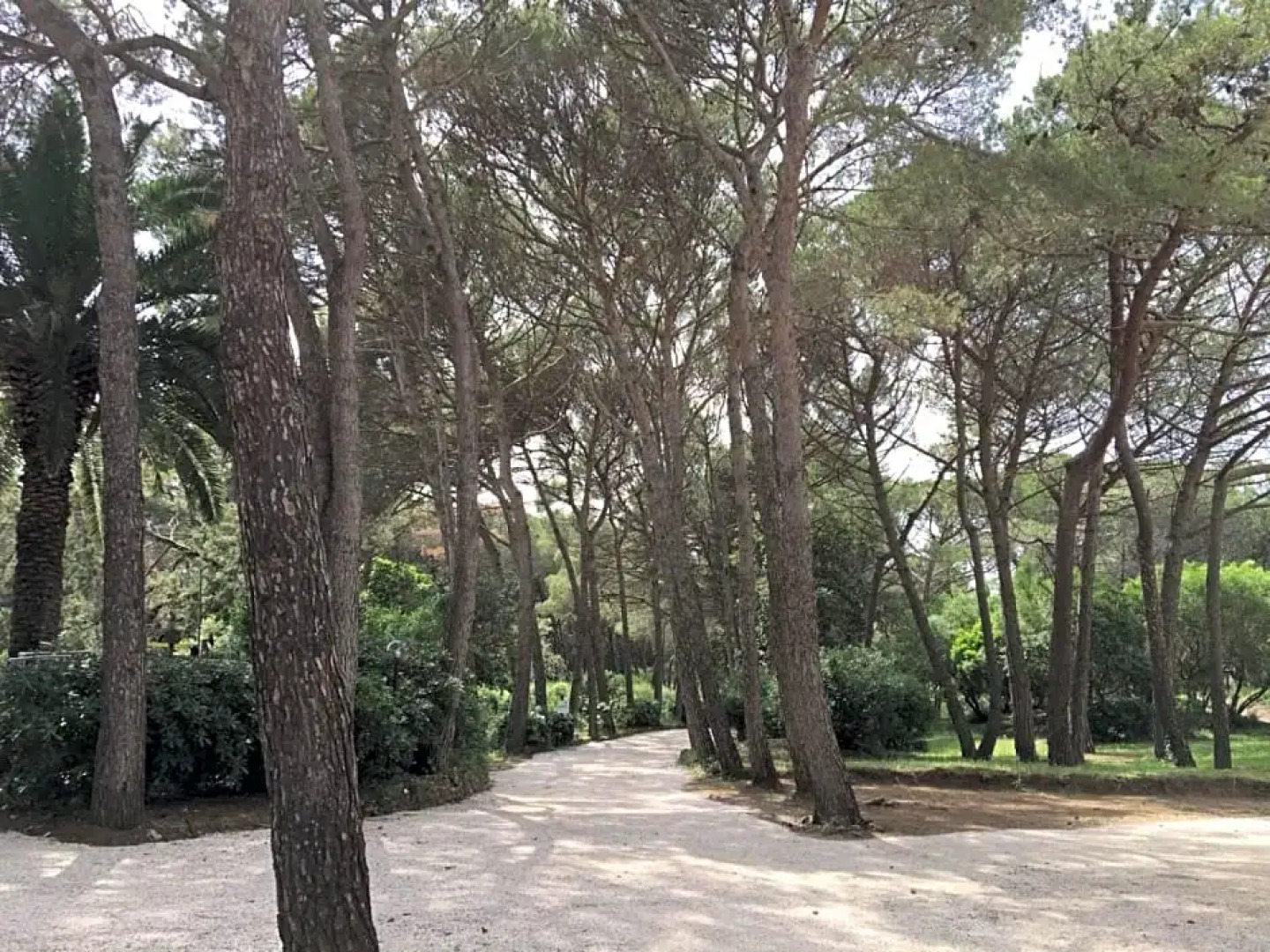 CSA Holiday House Hotel