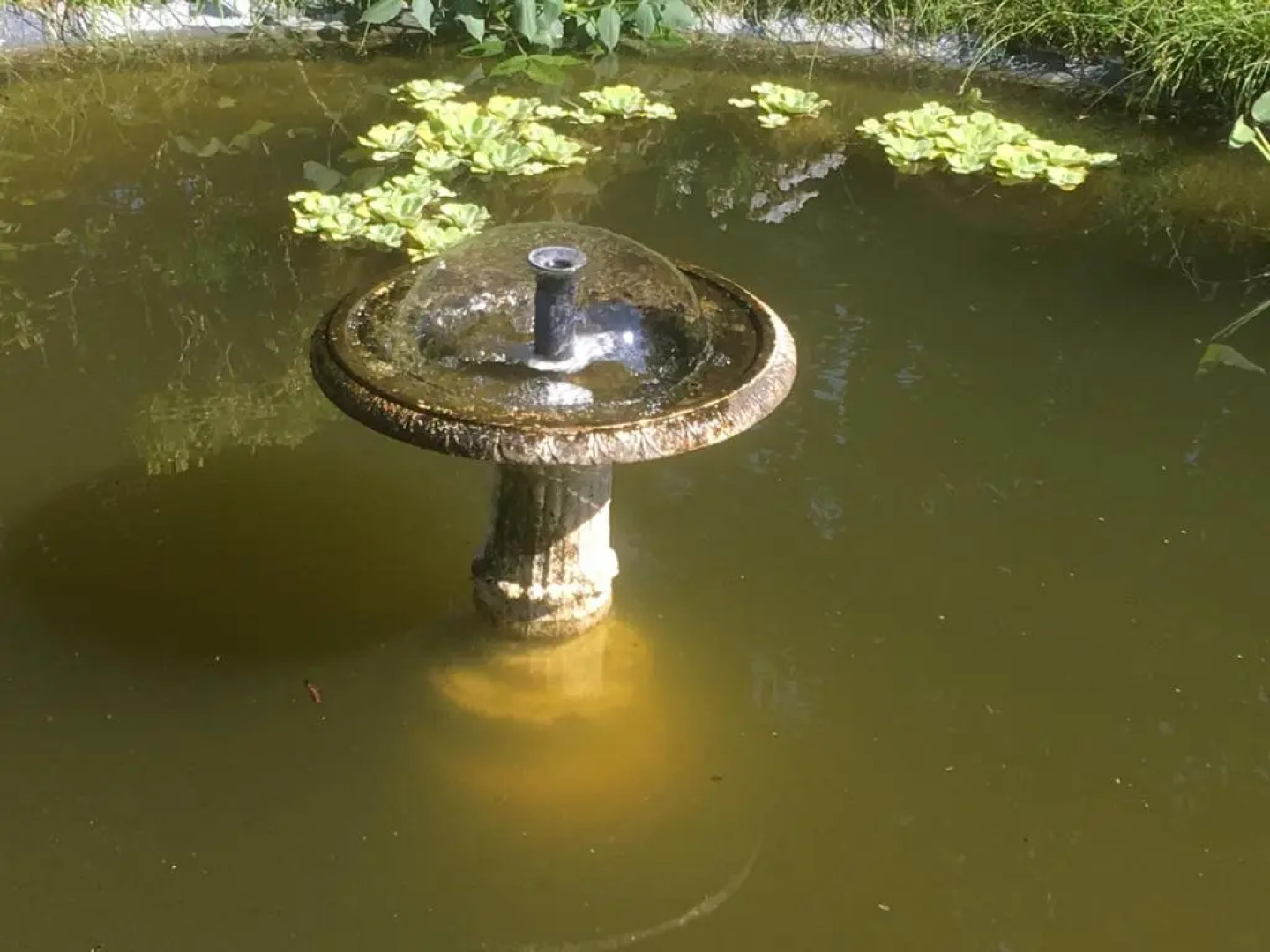 Le Belv¿re, studio ind¿ndant