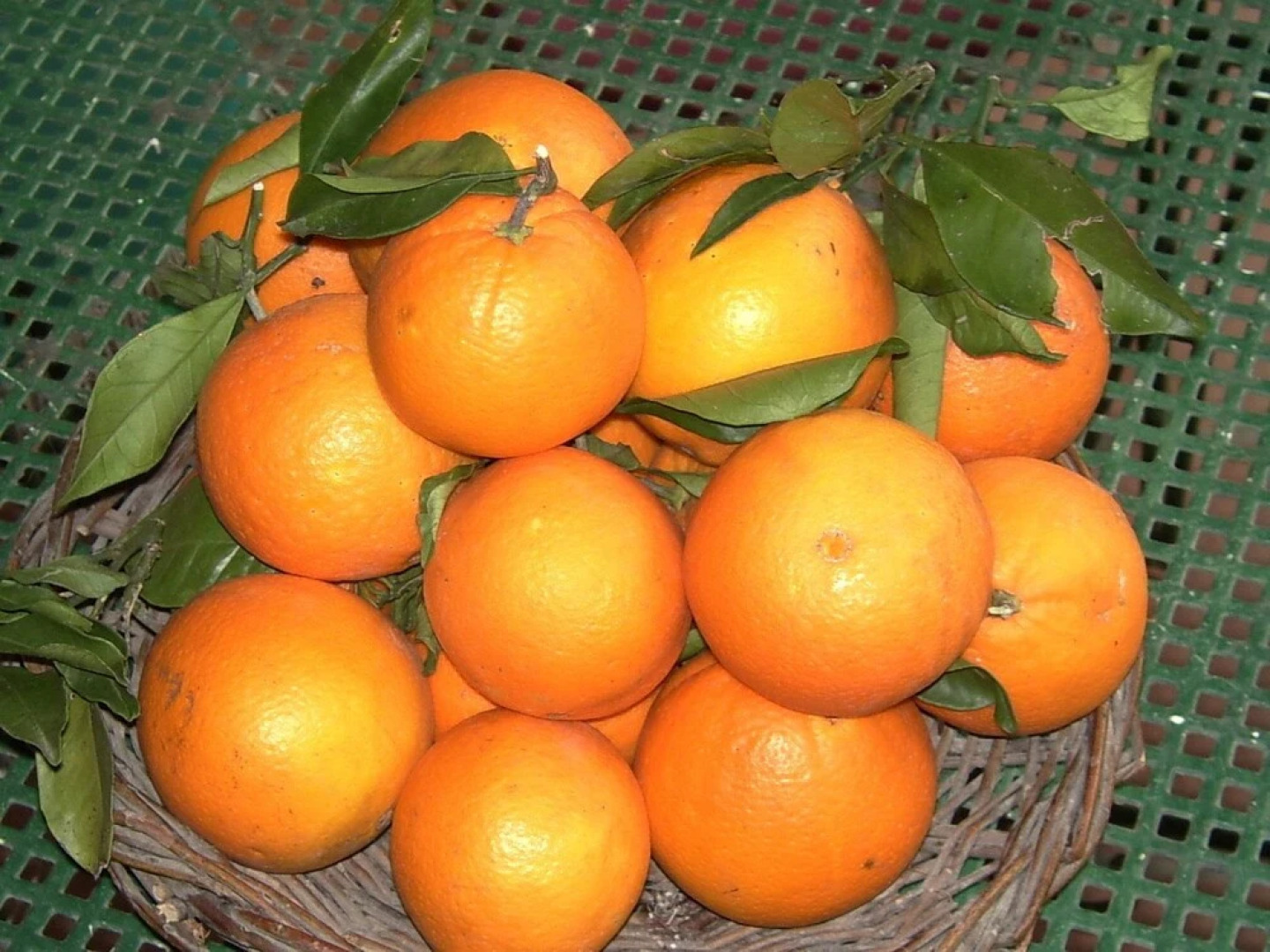 Agriturismo Trigna