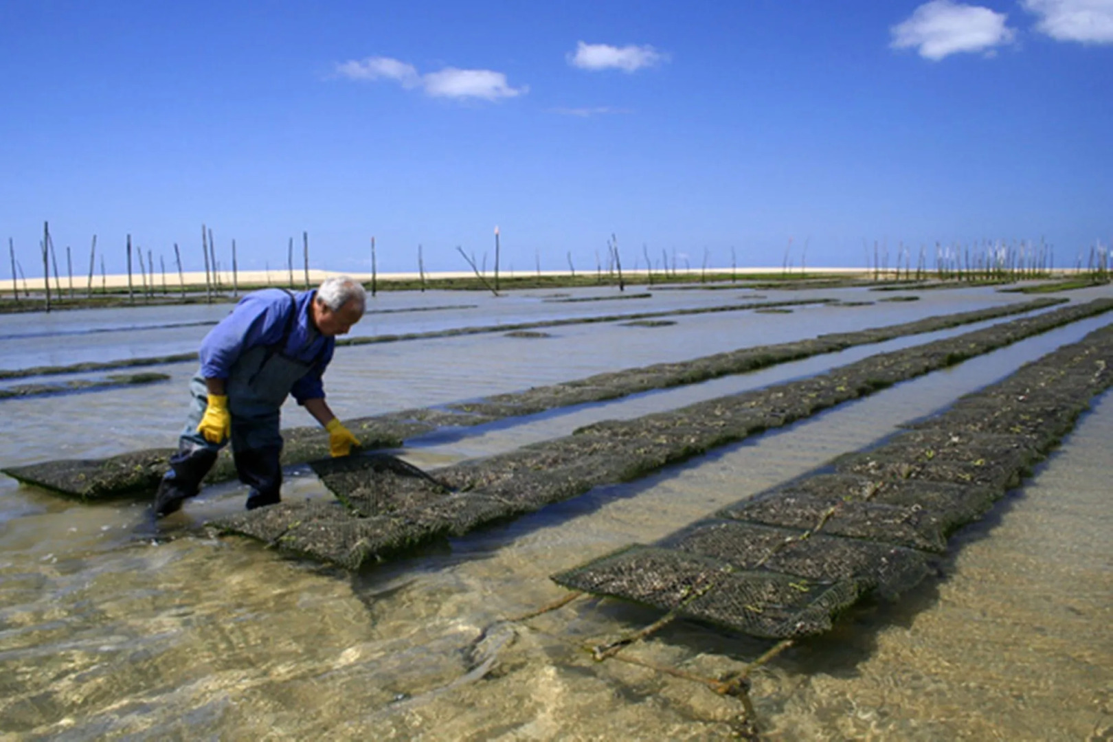Holiday Inn Bordeaux Sud - Pessac by IHG