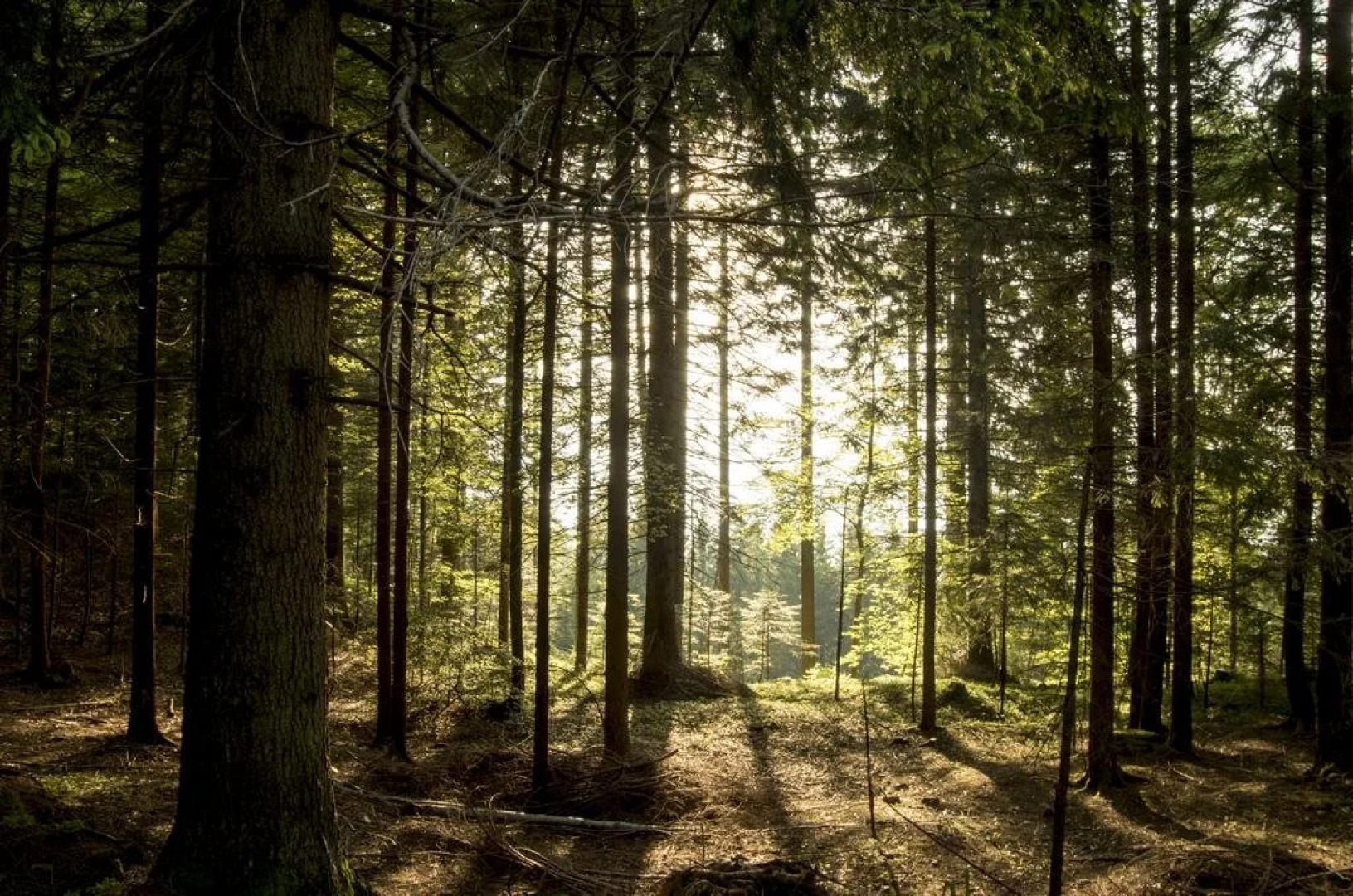 Hostel LOst - Ostello di Grumes