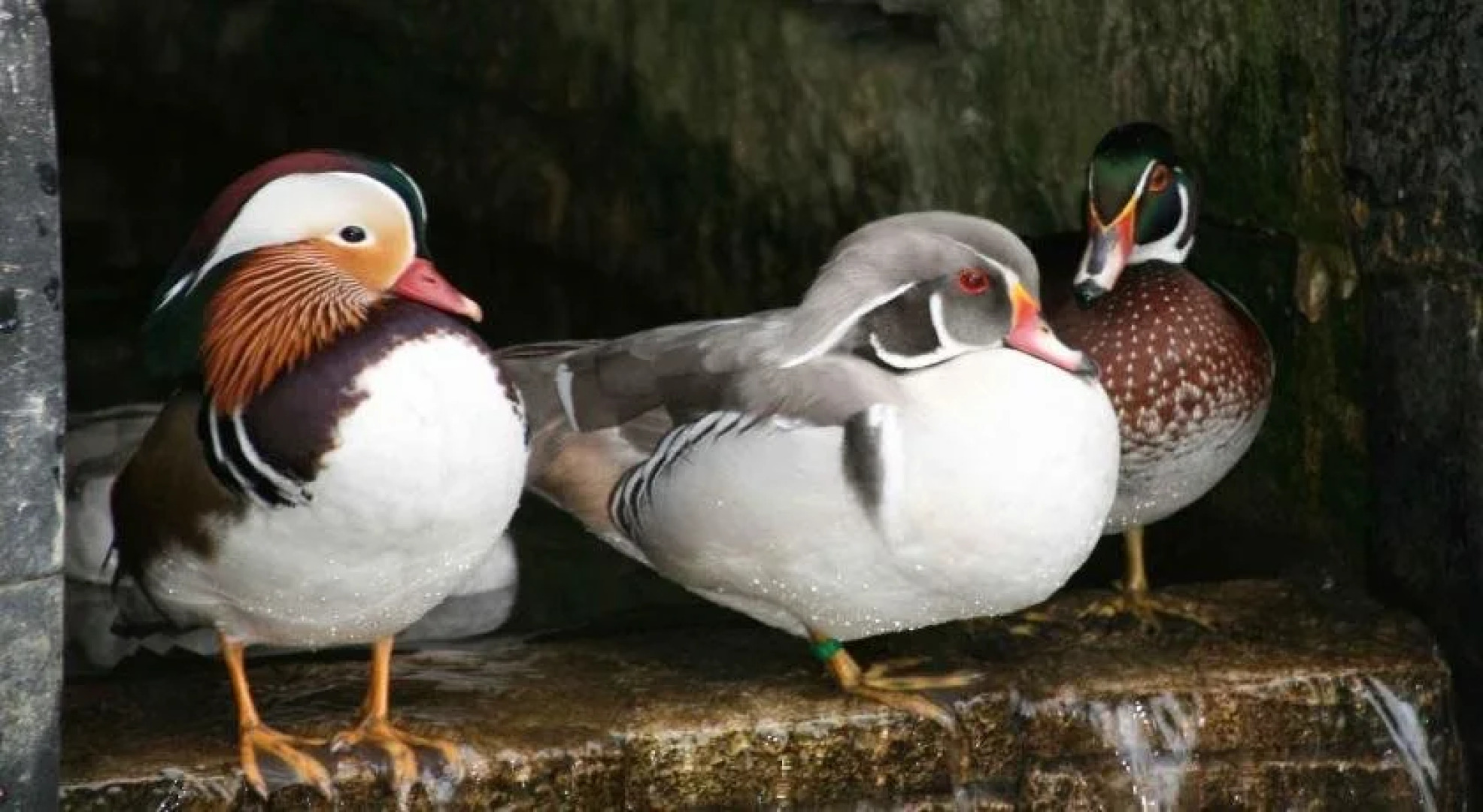 Gite du Domaine du Feyel