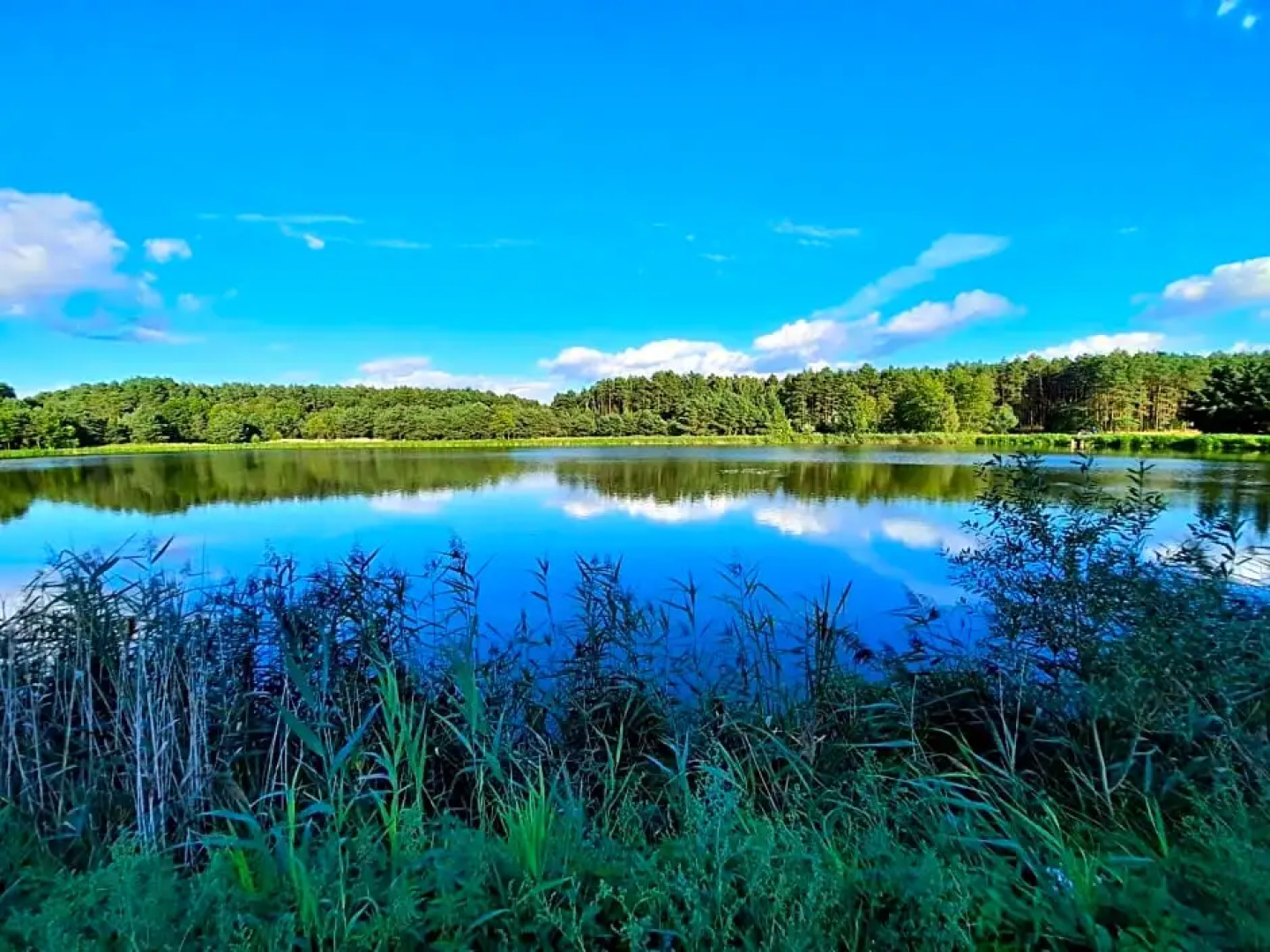 Hotel Odpocznia Resort I las