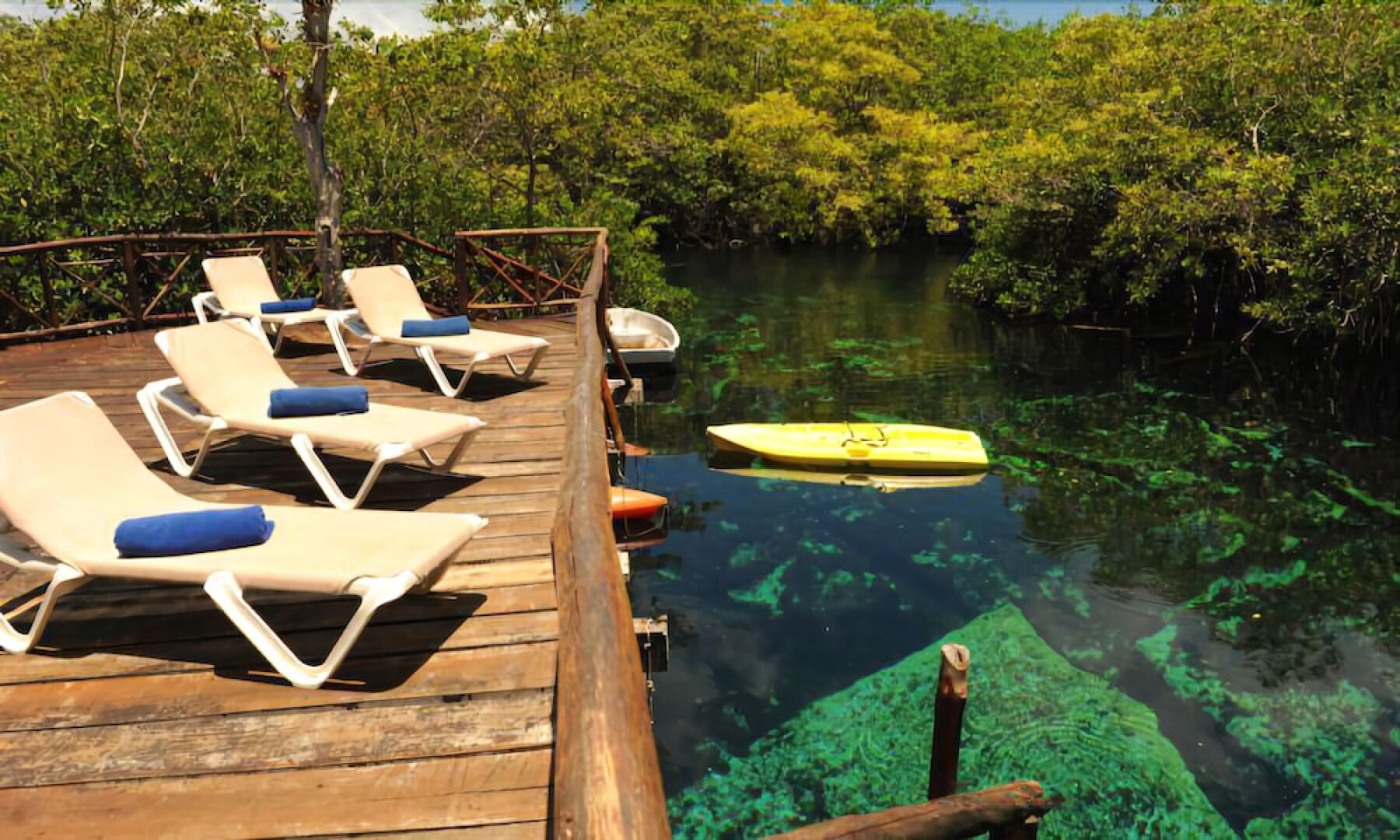 Tropical Location Riviera Maya