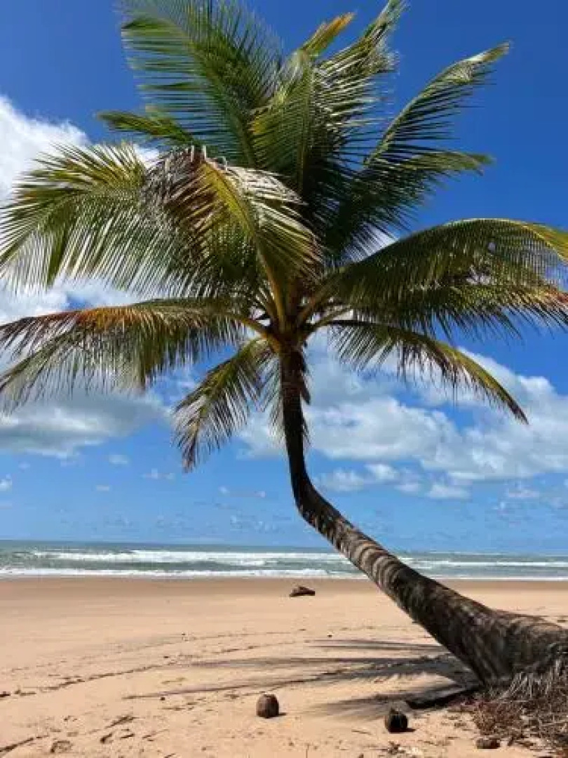 Pousada Oceano Atlantico