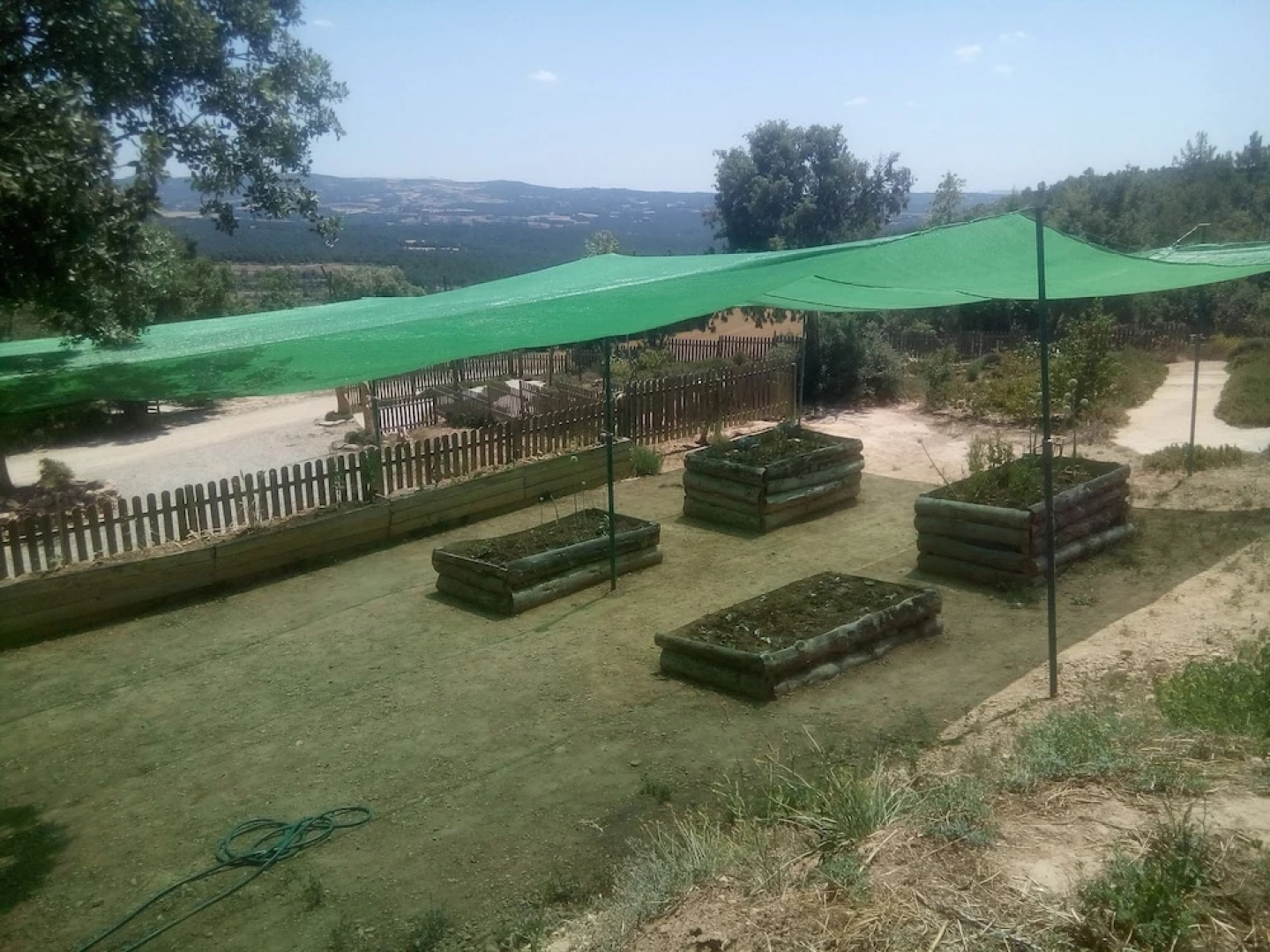 Alberg L' Auro - Hostel