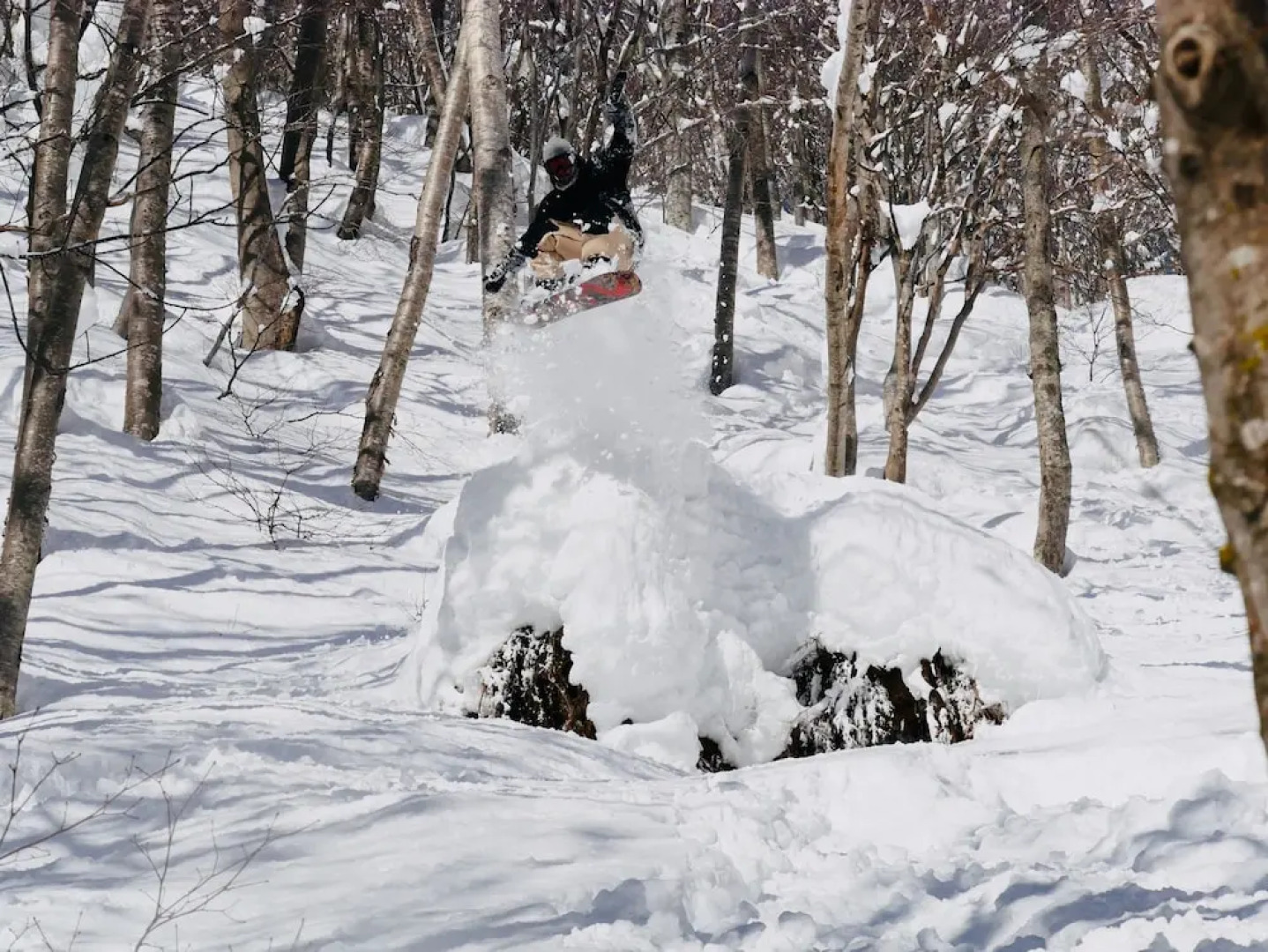 Madarao Mountain Lodge