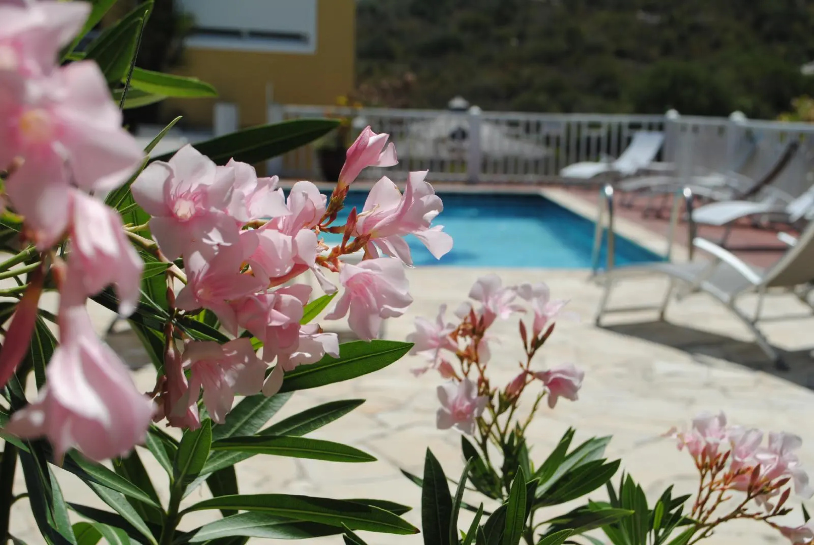 Marquis Boutique Hotel  Spa