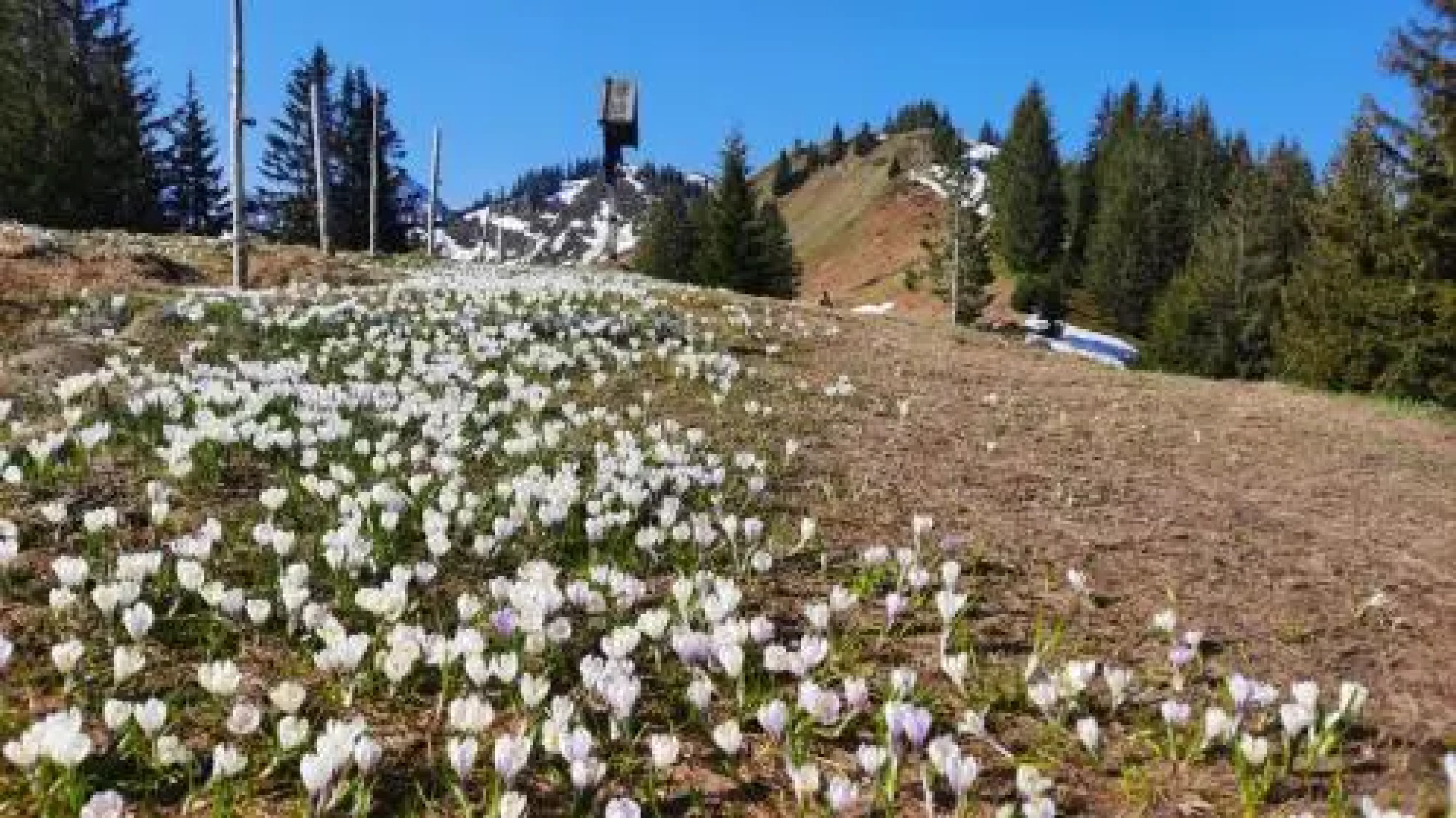 Ferienwohnung Unterdürmoos