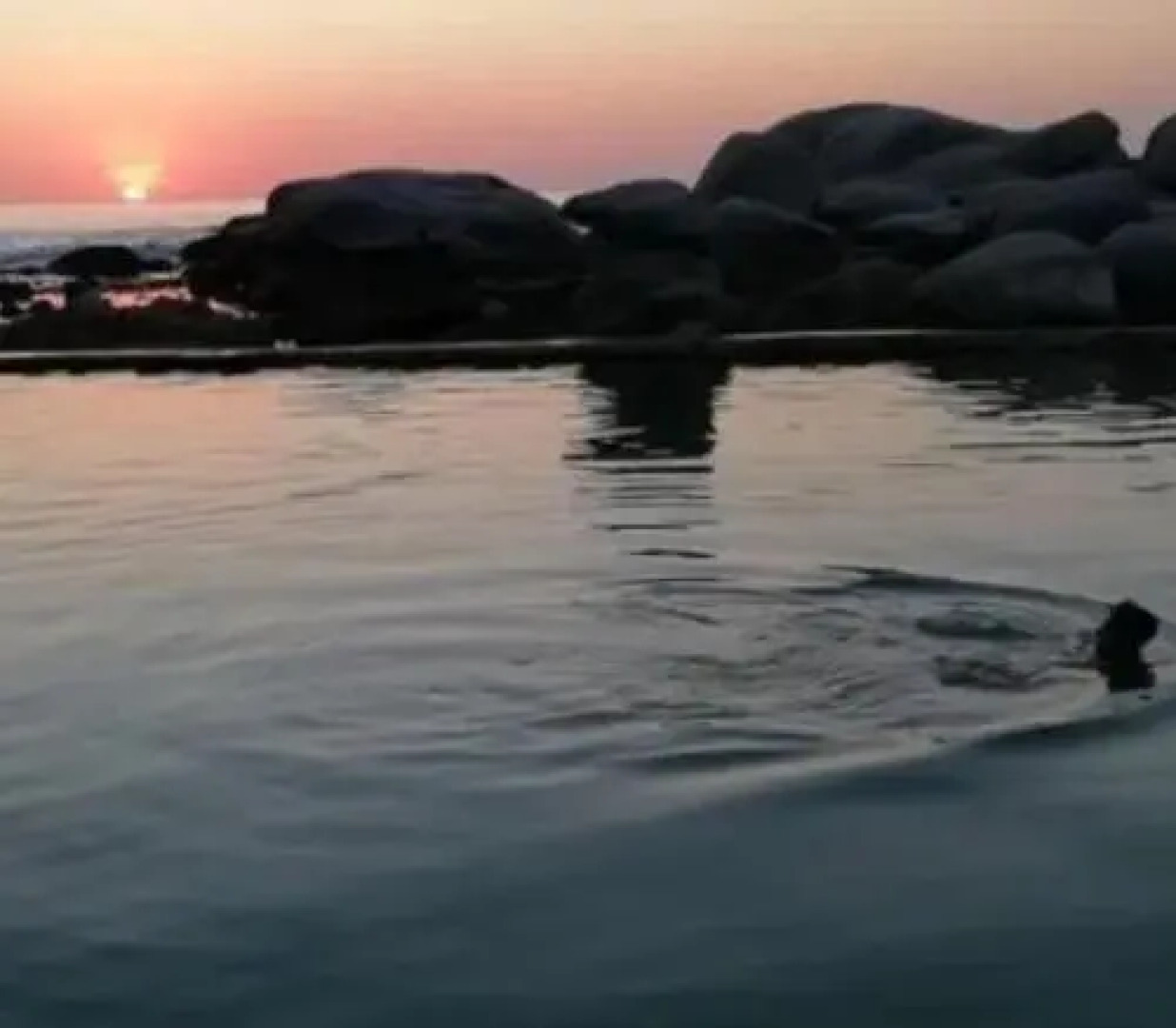 Hermanus Flower House