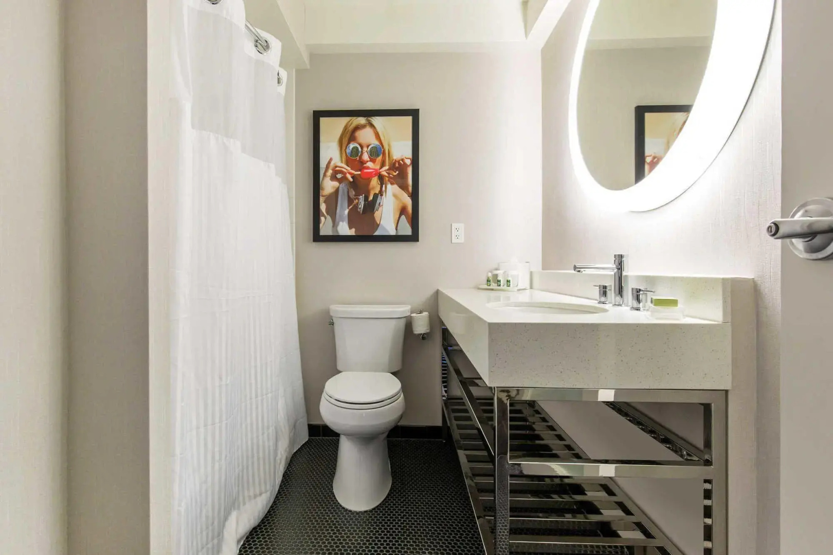 The Chicago Hotel Collection Magnificent Mile Hotel & Suites 