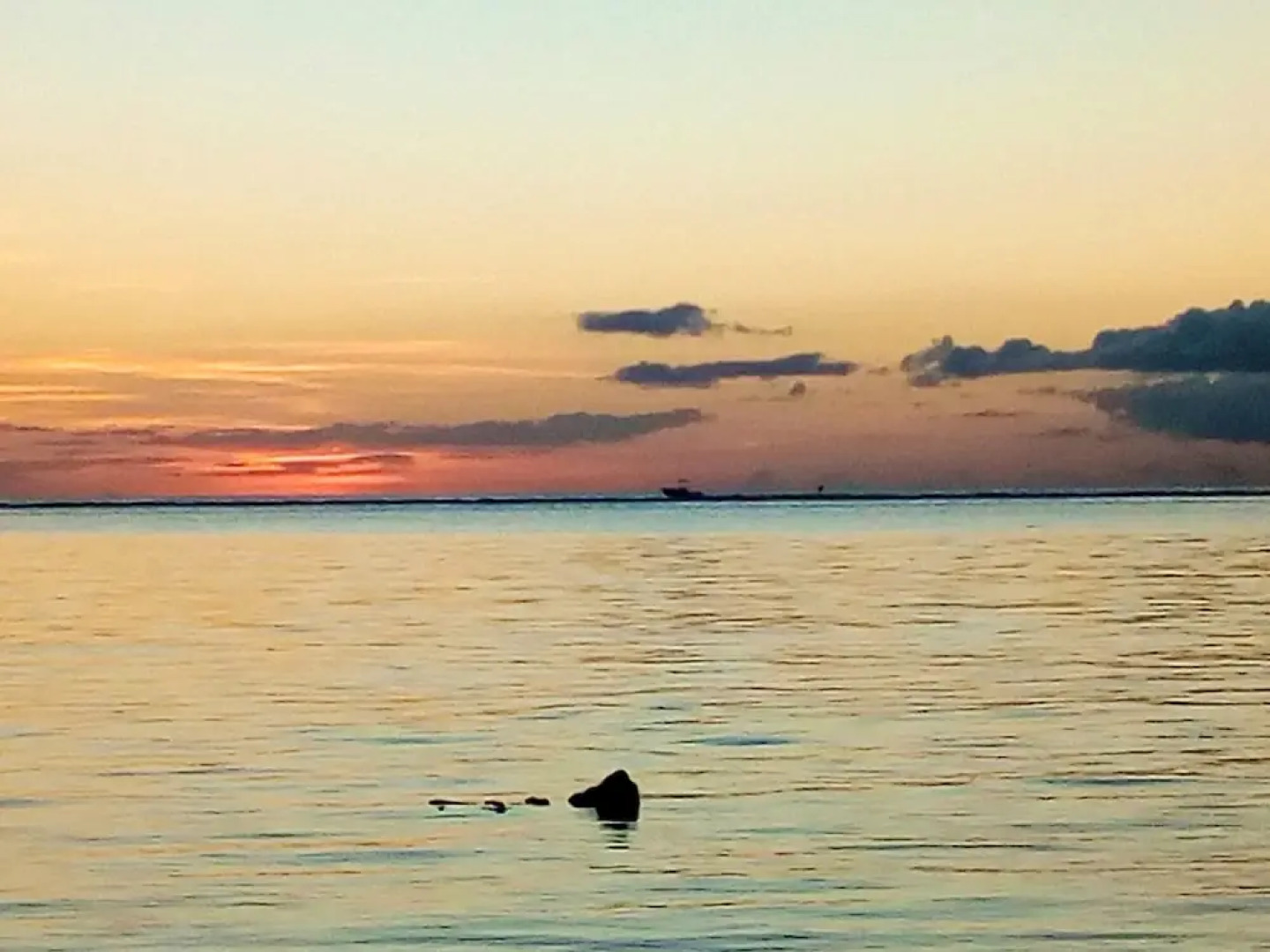 Apartment With 2 Bedrooms in Maurice, With Wonderful Mountain View, Fu