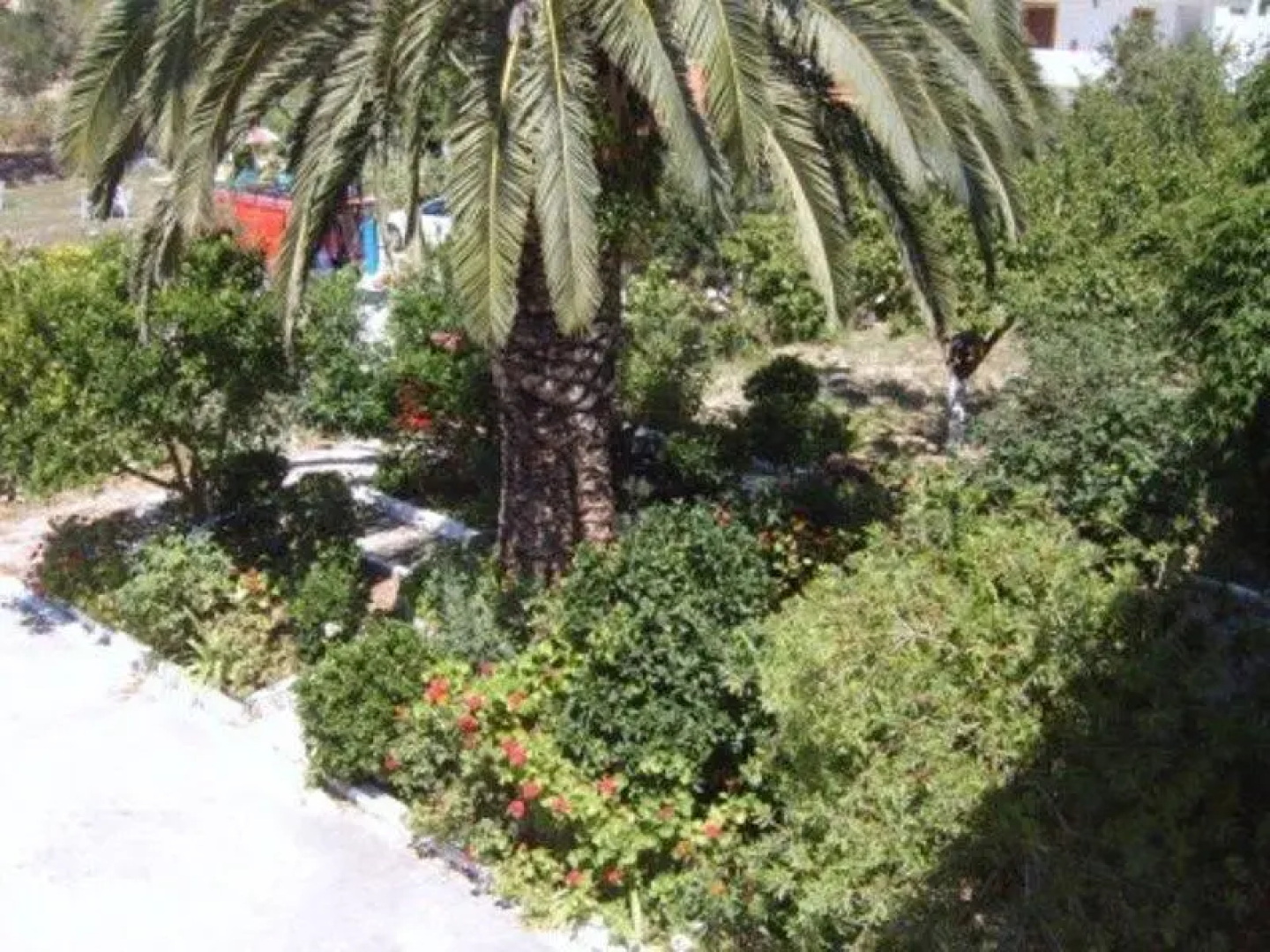 Kokkinos Apartments