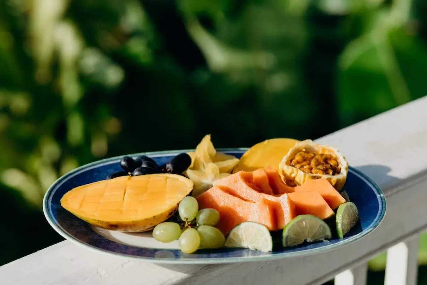 At Home in the Tropics