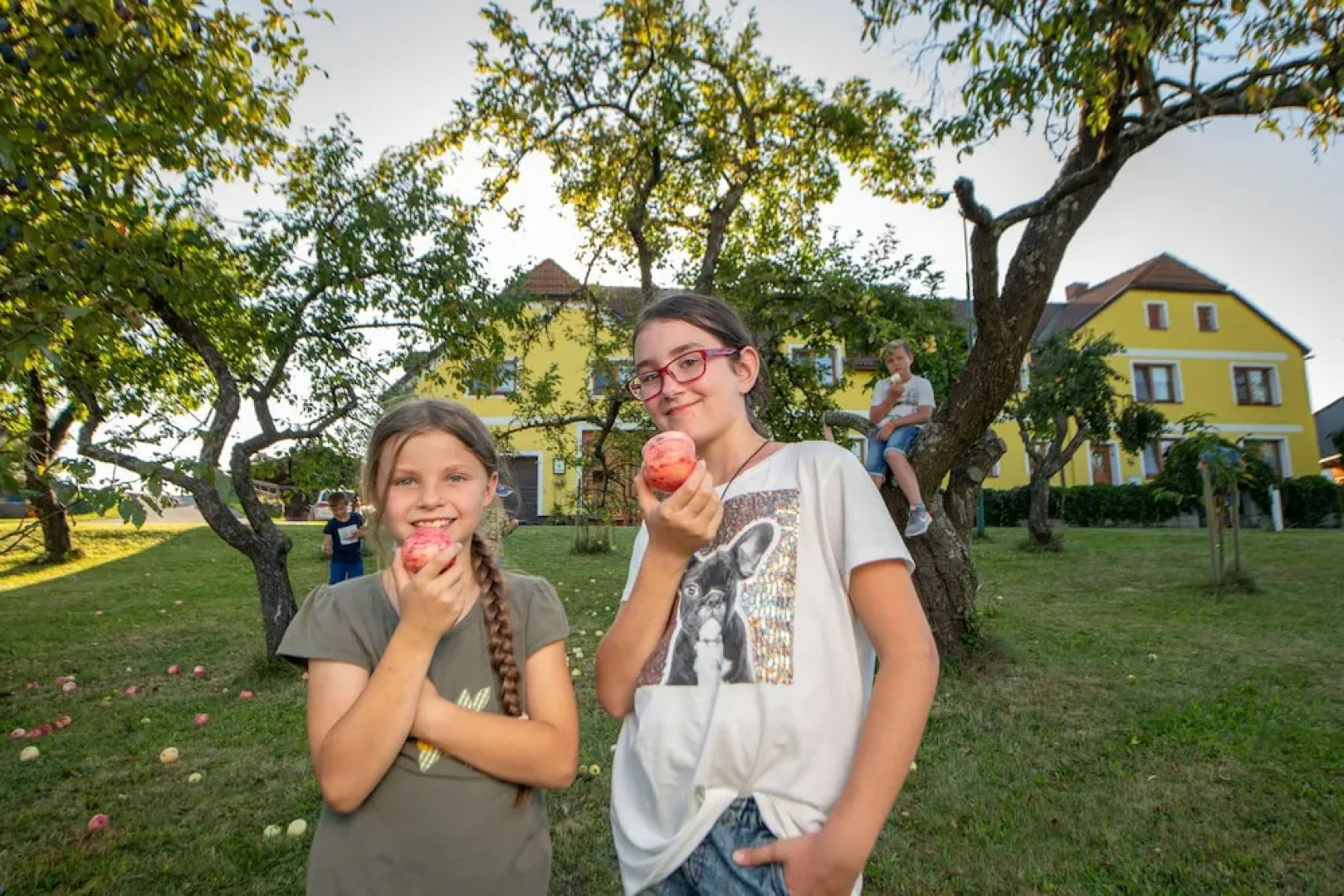 Bio-Bauernhof Hipp-Bruckner