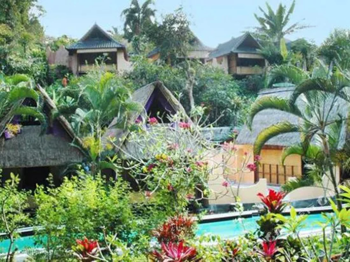 Shankaris Bali Retreat