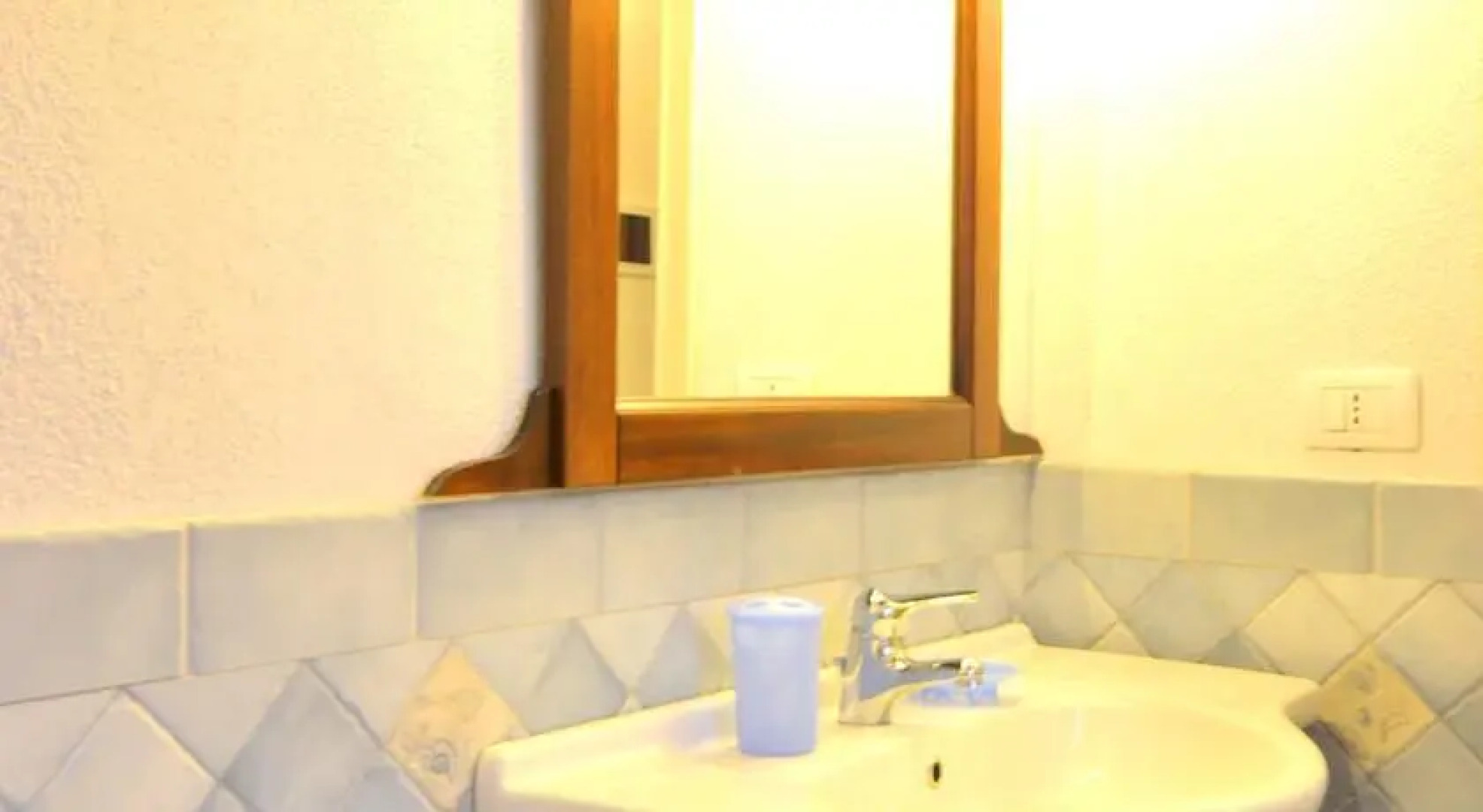 Bucaneve Narciso EHL