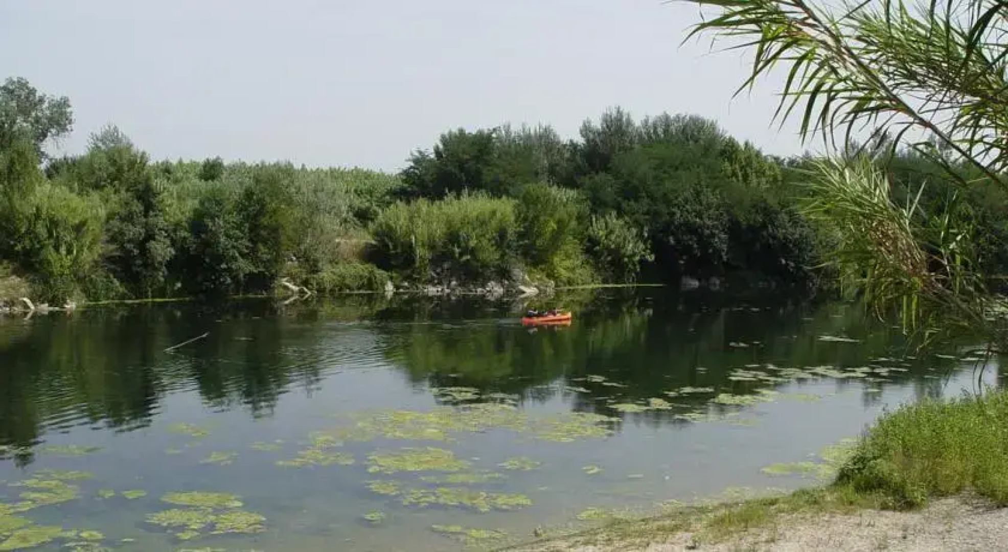 Yourtes la Terre des Lauriers