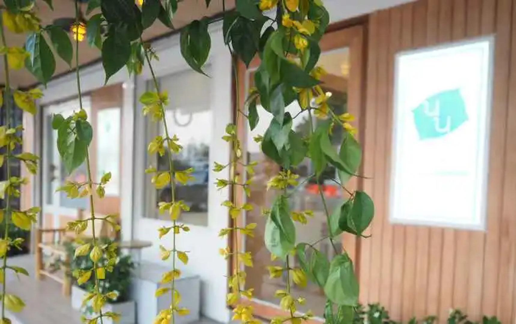 Nornnuea at Inthanon