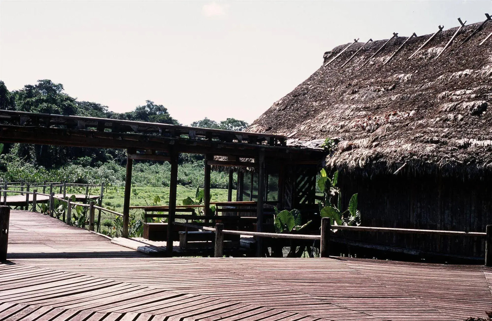 Kapawi Ecolodge & Reserve