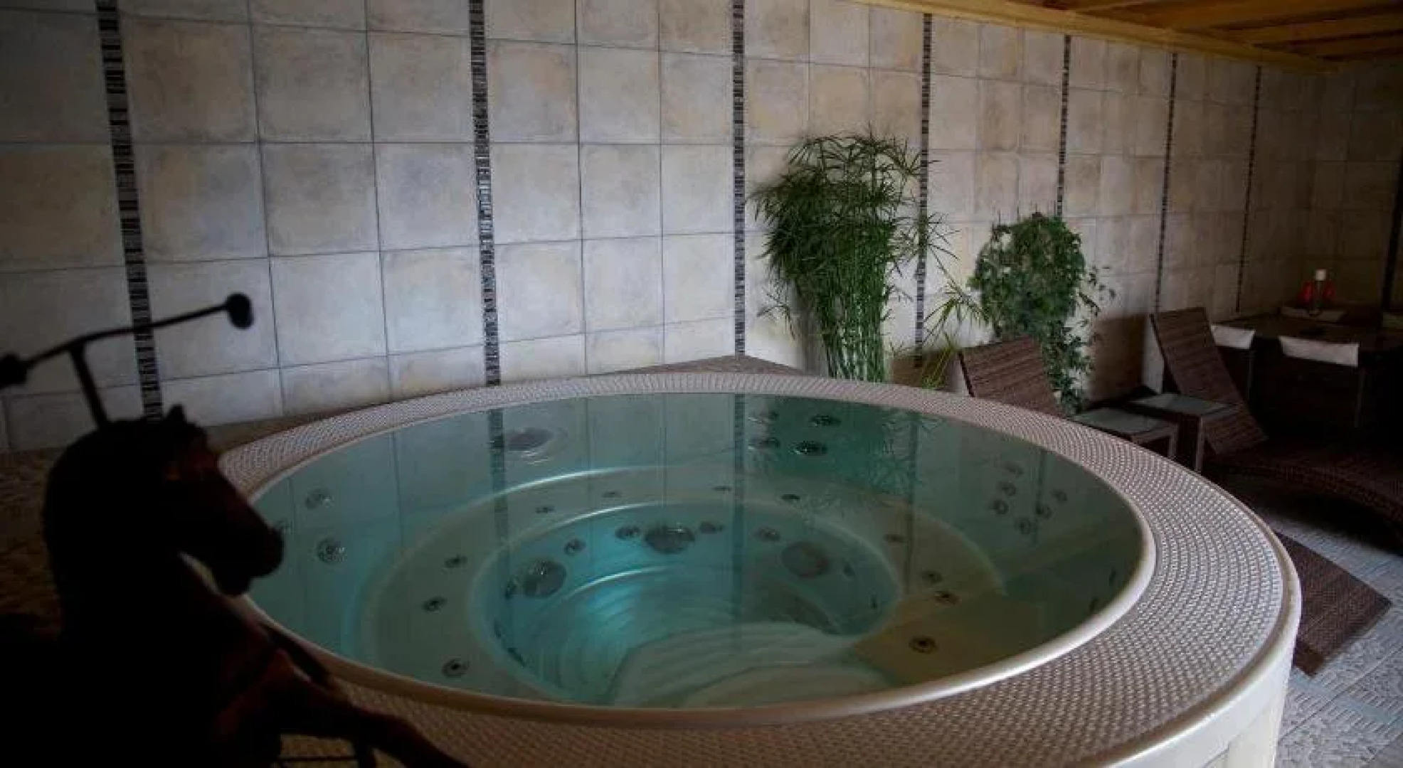 El Bronco Working Ranch