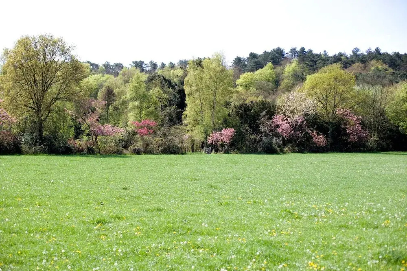 Restaurant Hotel Merlet