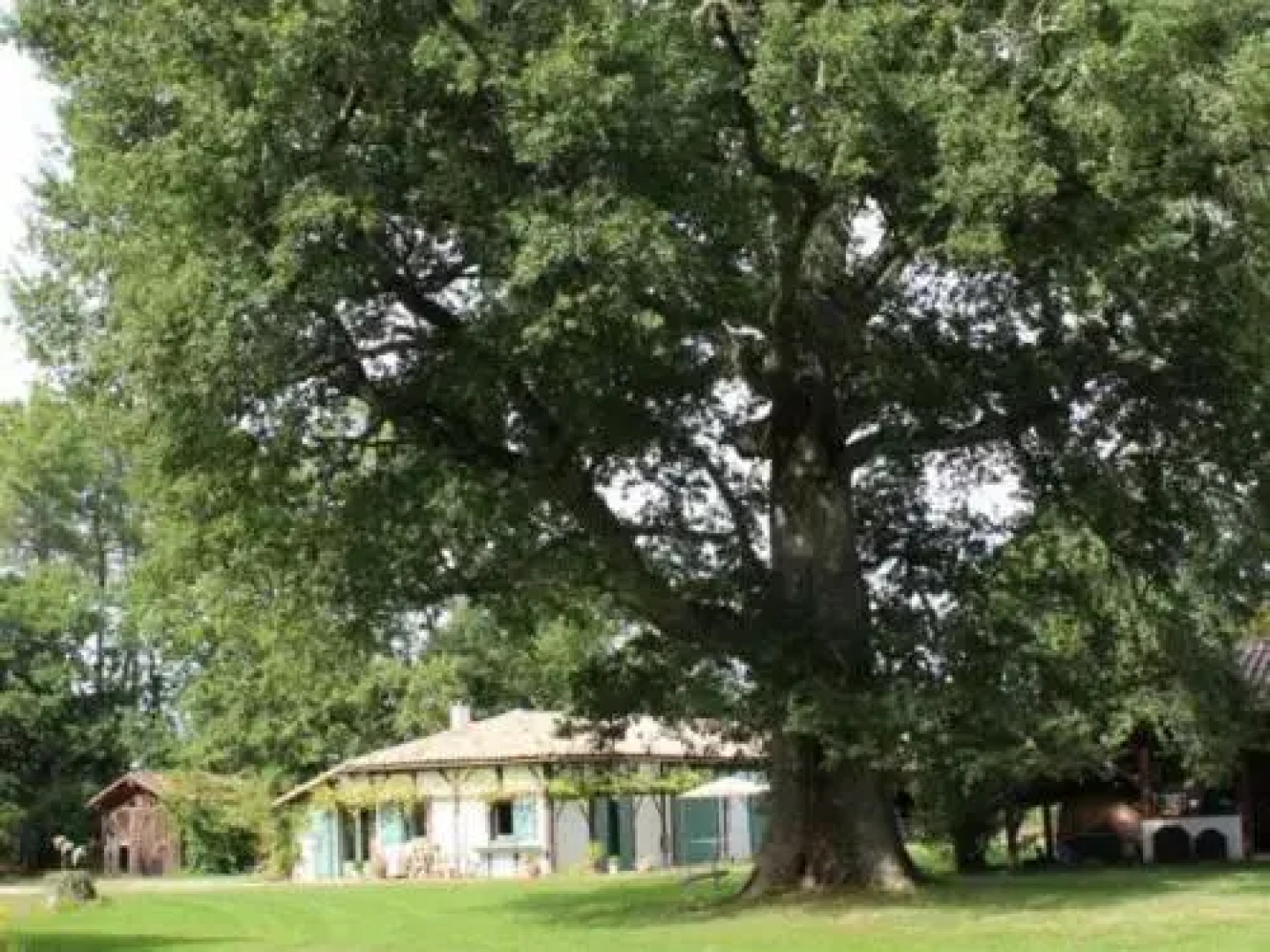 Gite Luglon, 2 pièces, 2 personnes - FR-1-360-316