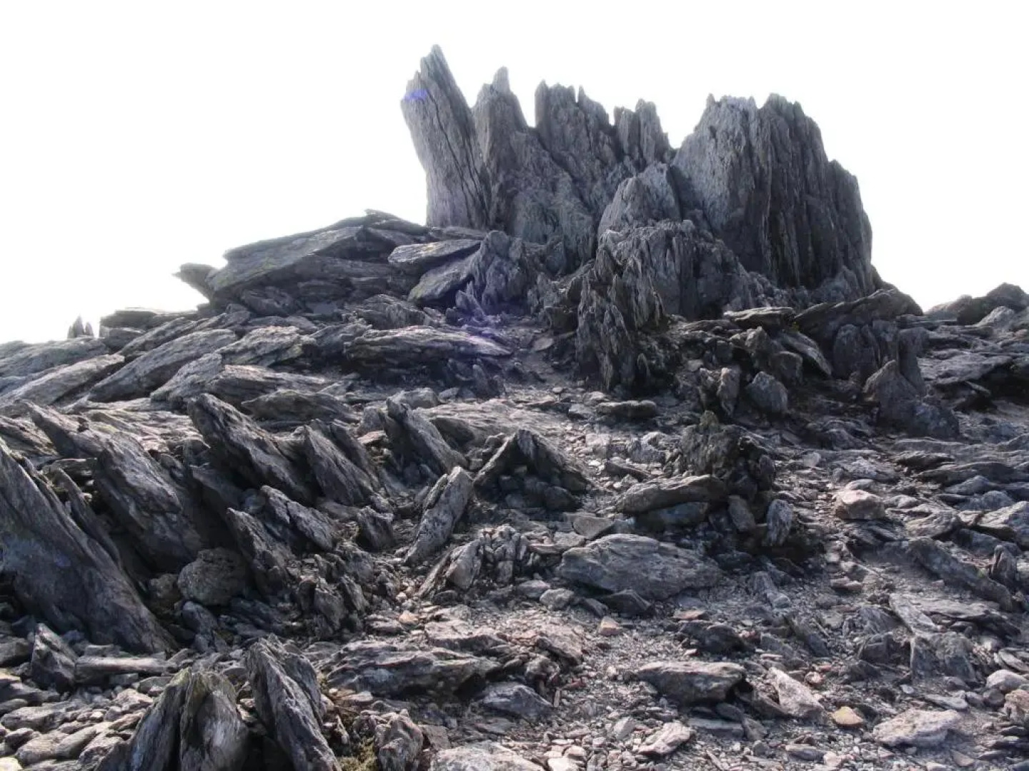 Taldraeth - Old Vicarage Guest House