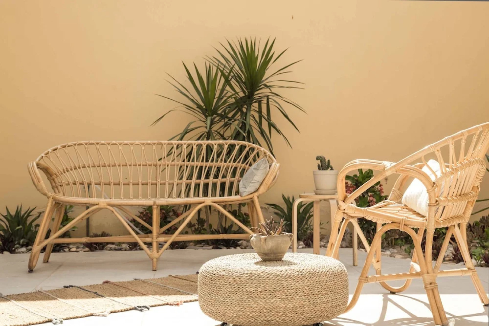 Bird Nest Near Arkan Plaza