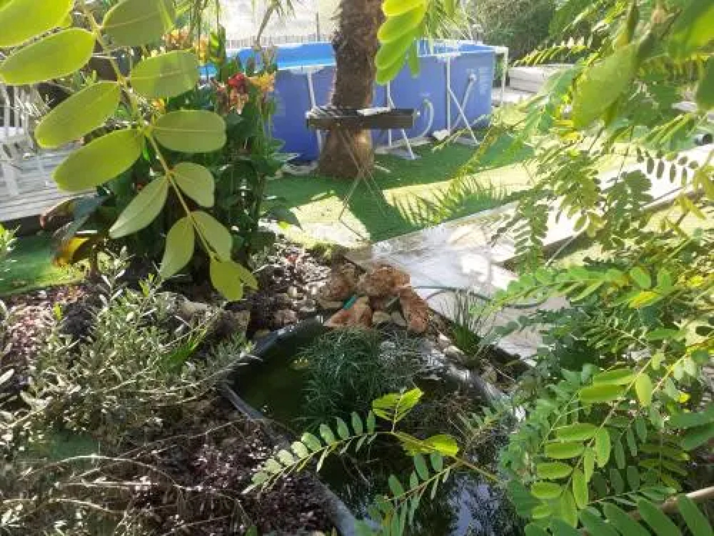 Mivtsa Lot 39 Apartments