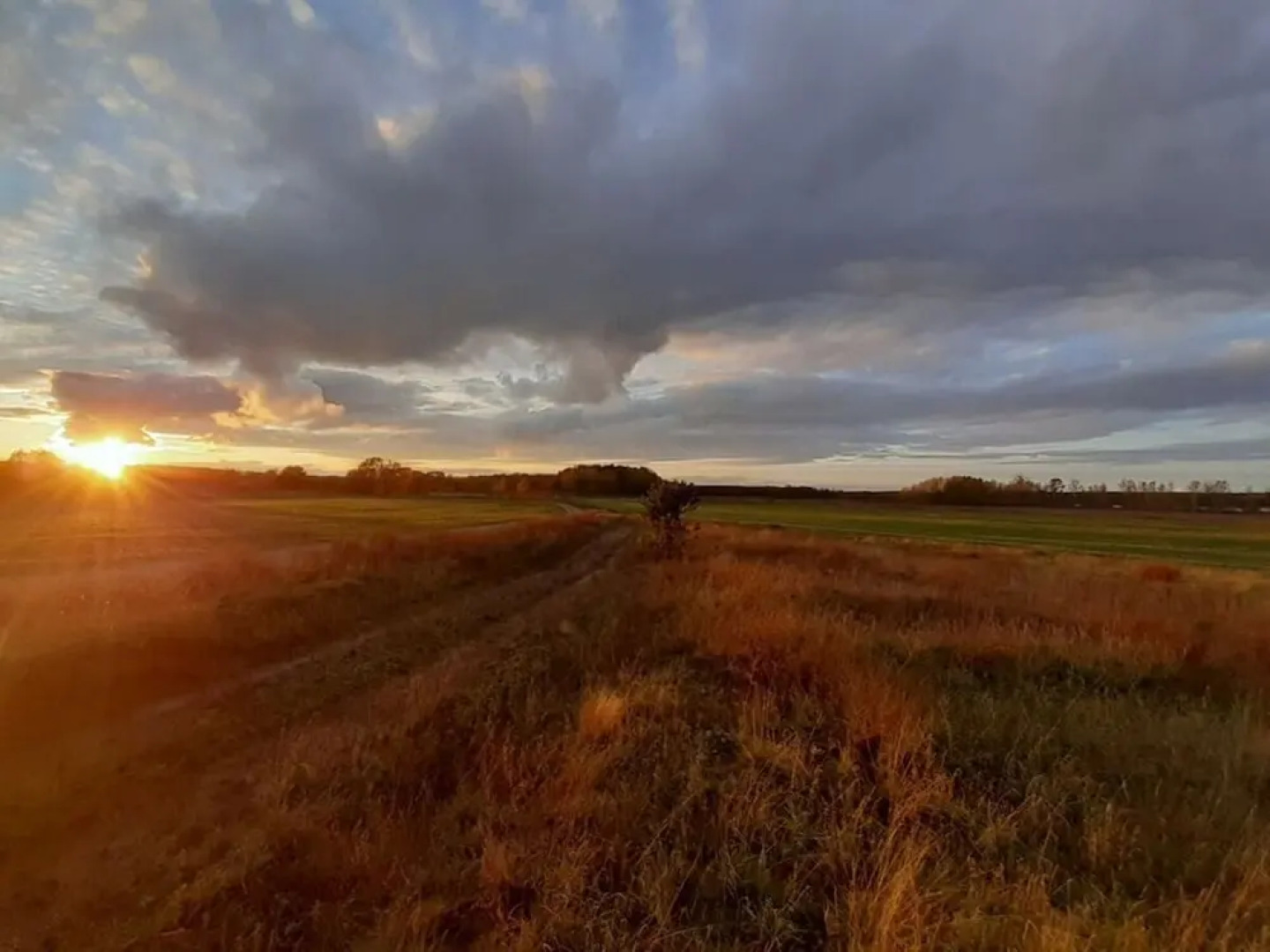 Holiday Home Landlust