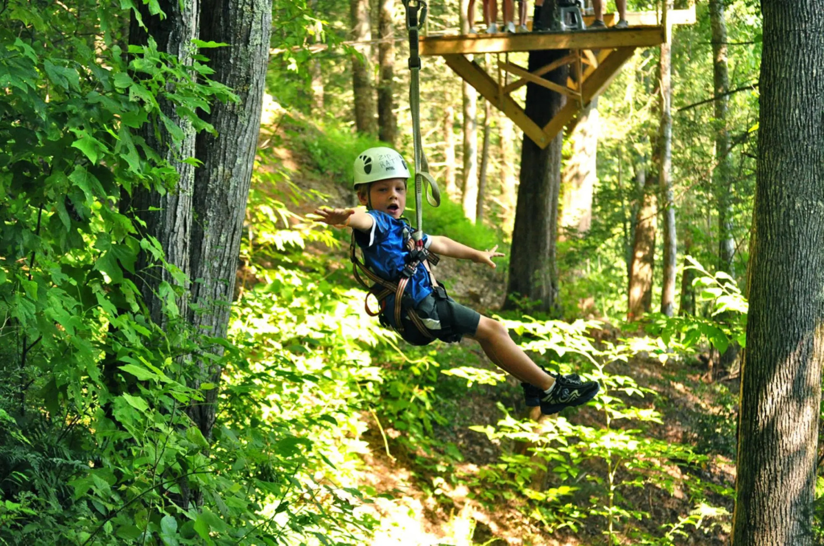 Breathtaking Views in Sevierville